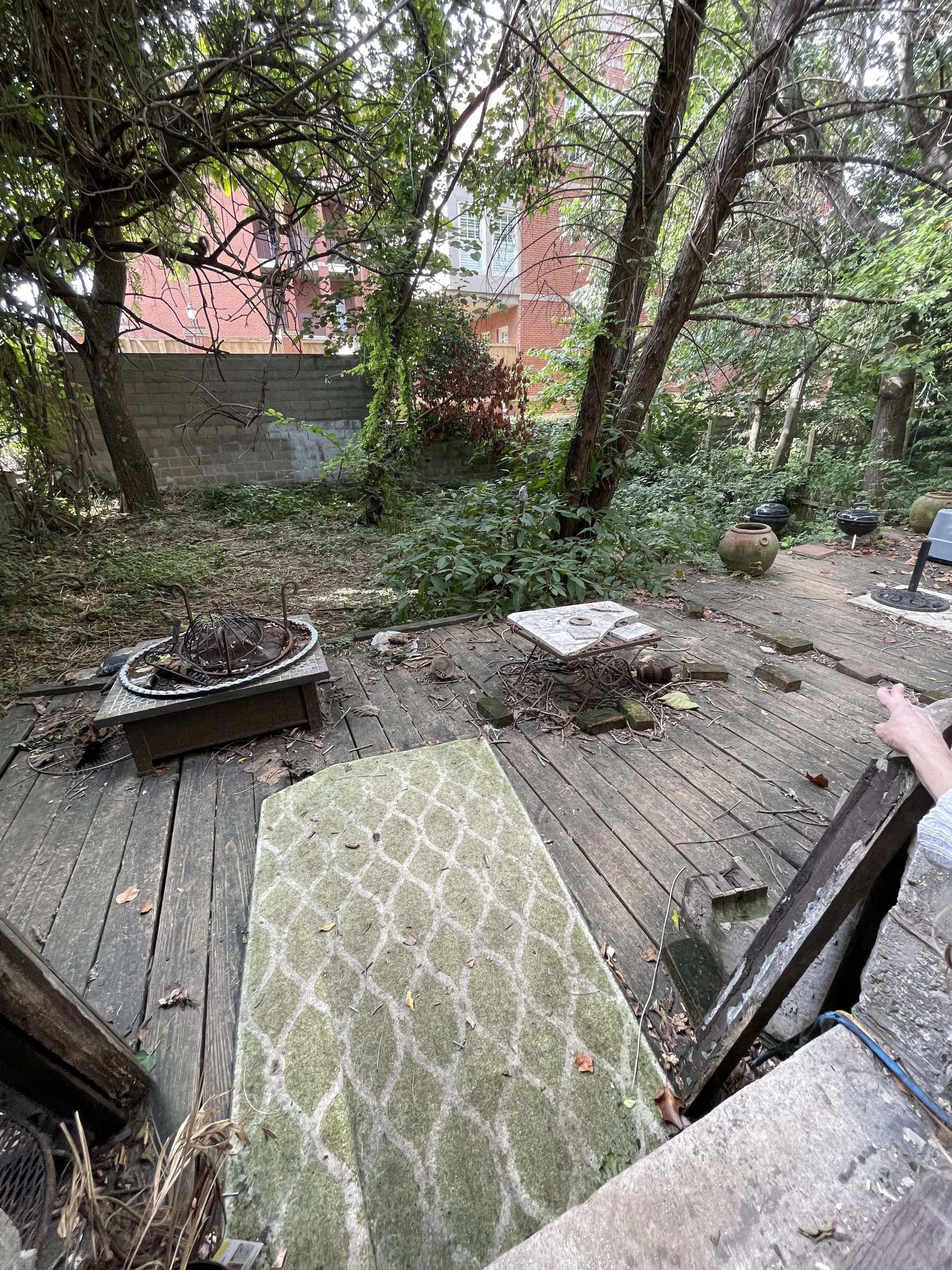 Photo Sep 24, 3 35 34 PM.jpg