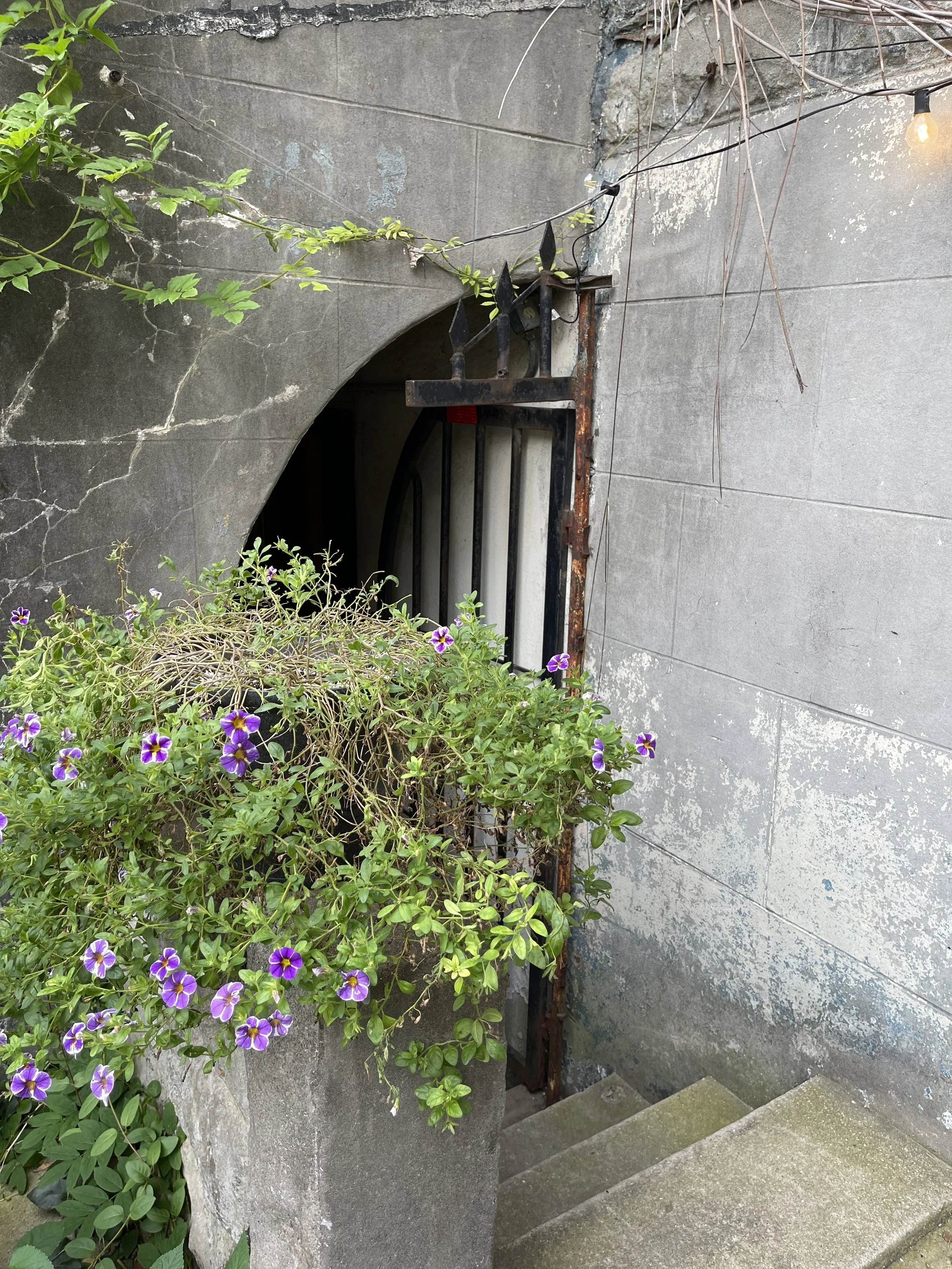 Photo Sep 24, 3 44 46 PM (1).jpg