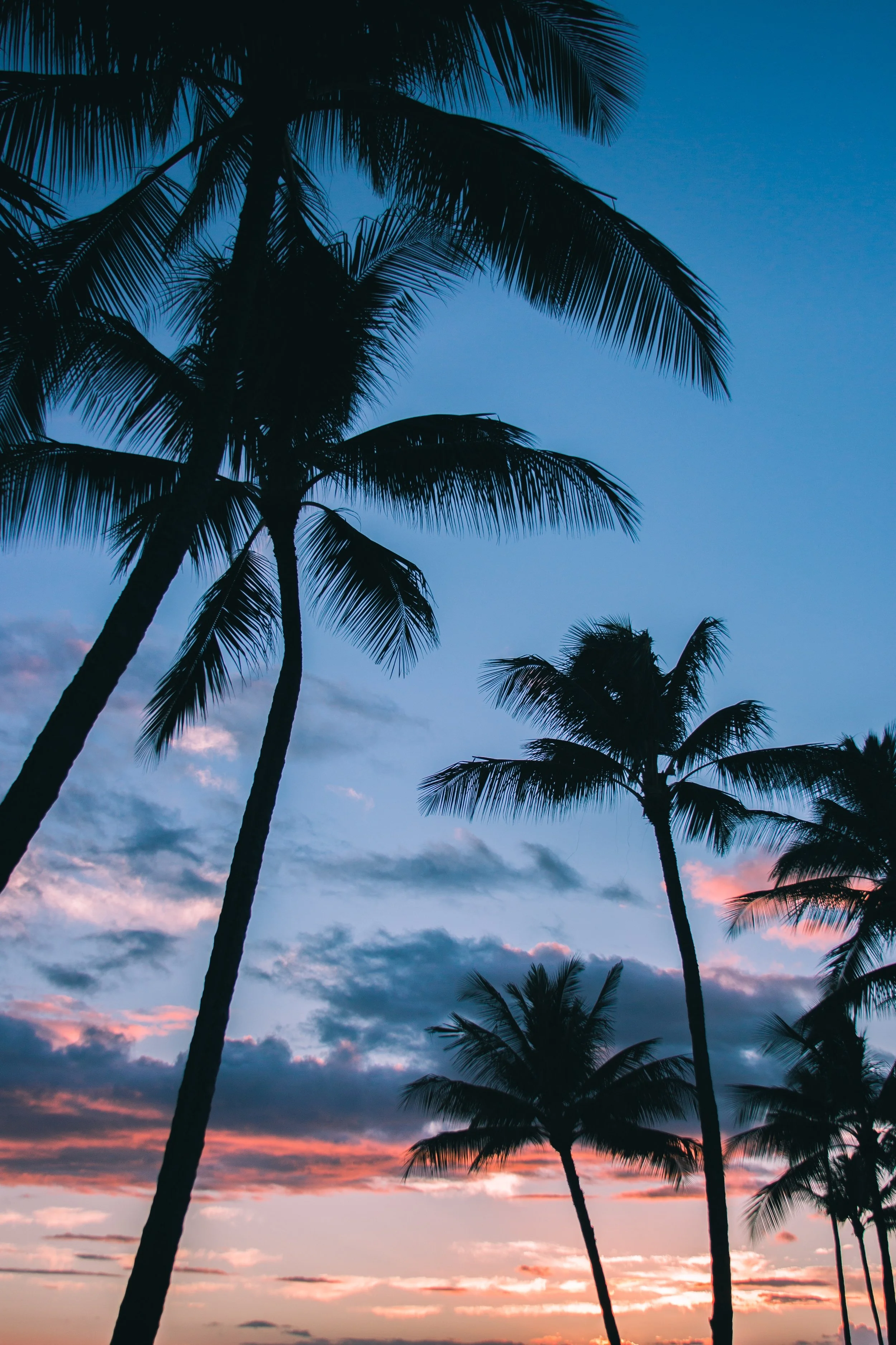 Panic In Paradise