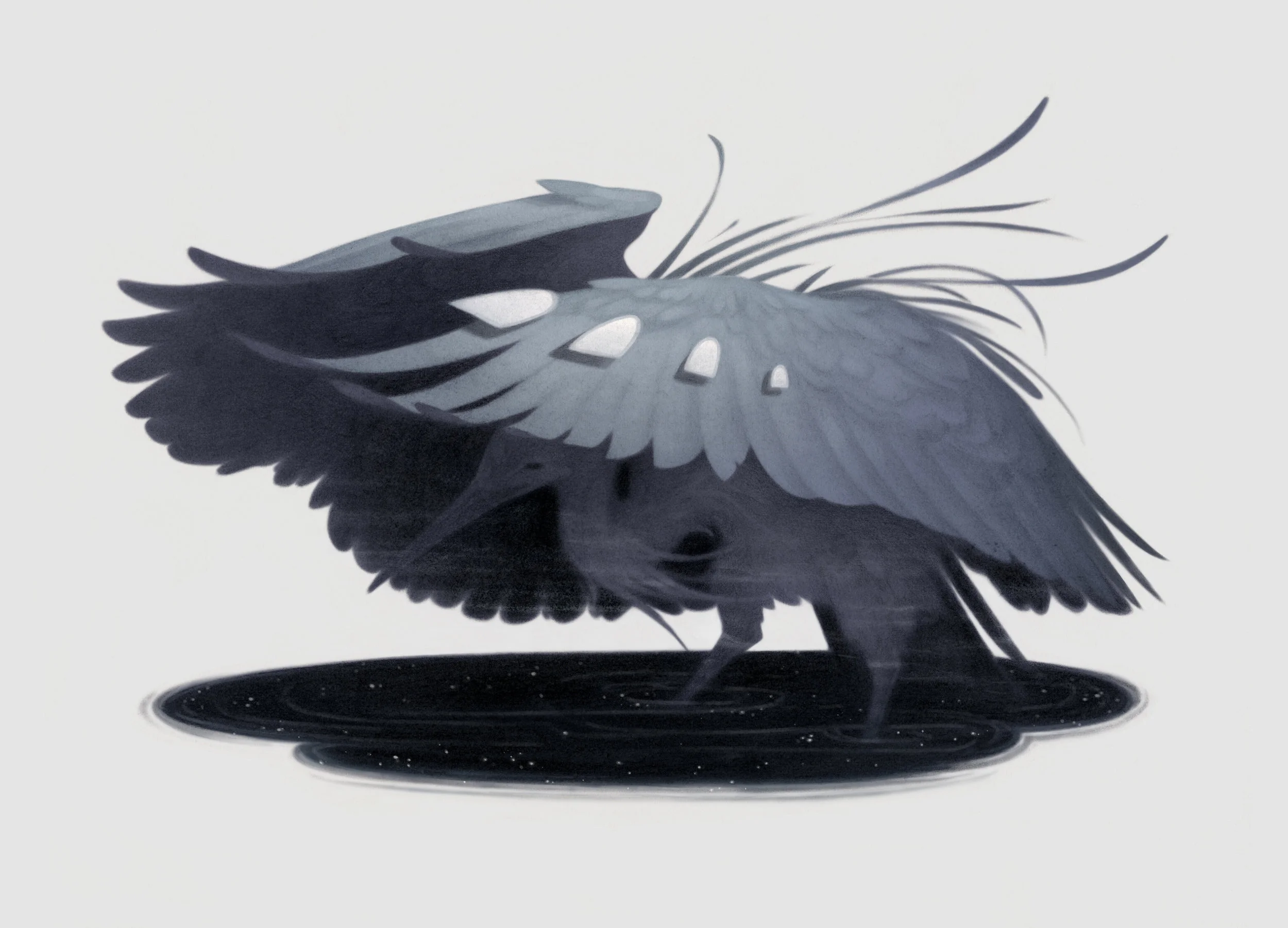 Black Heron / Light Grey Art Lab