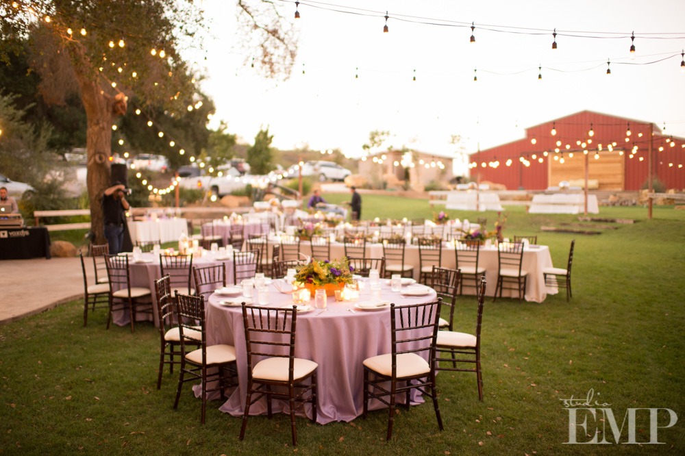 Temecula Wine Feast with ABC-IE