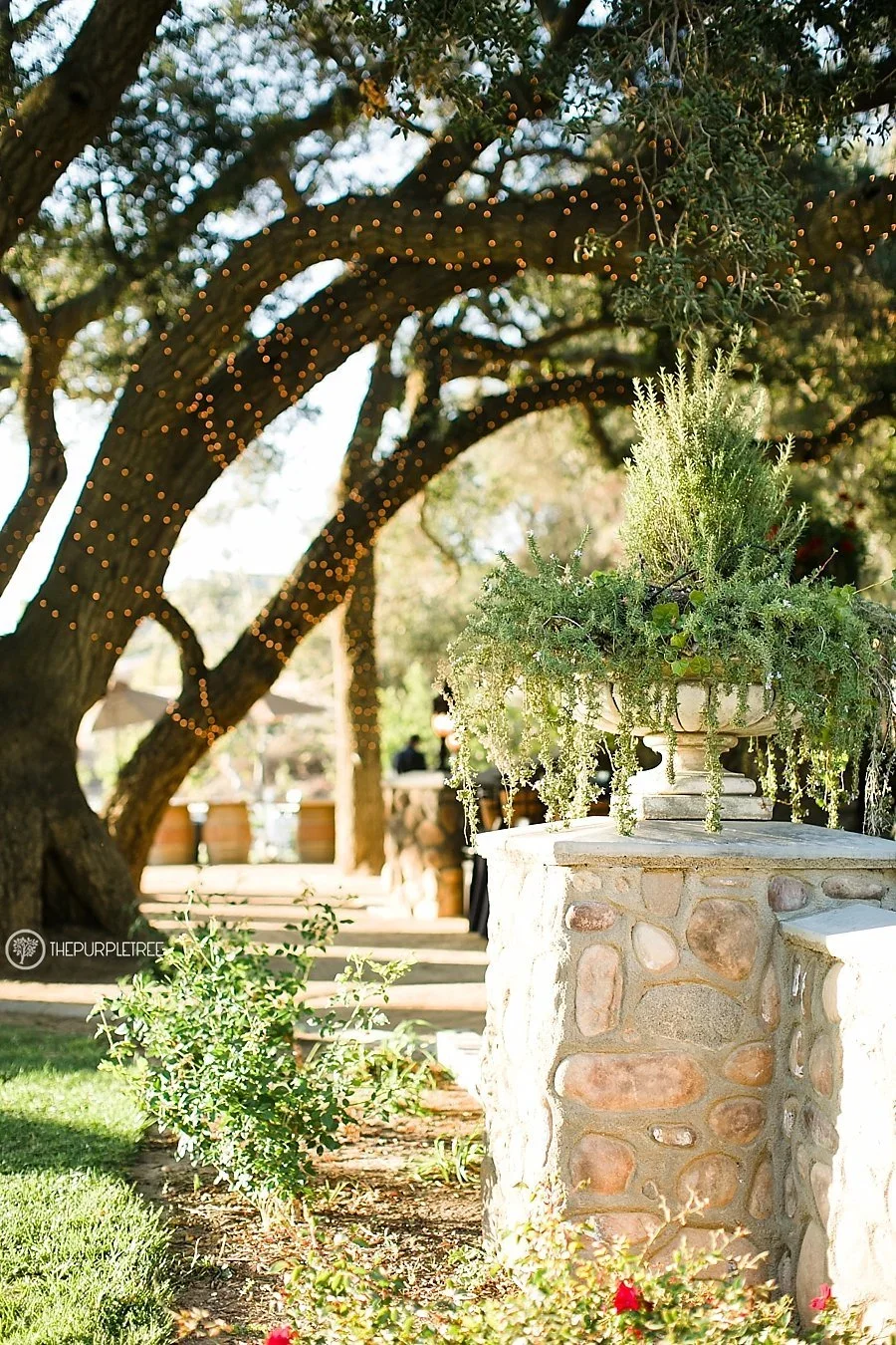 Frady_Wedding_cloriyohe_thepurpletree.com_4054.jpg.webp