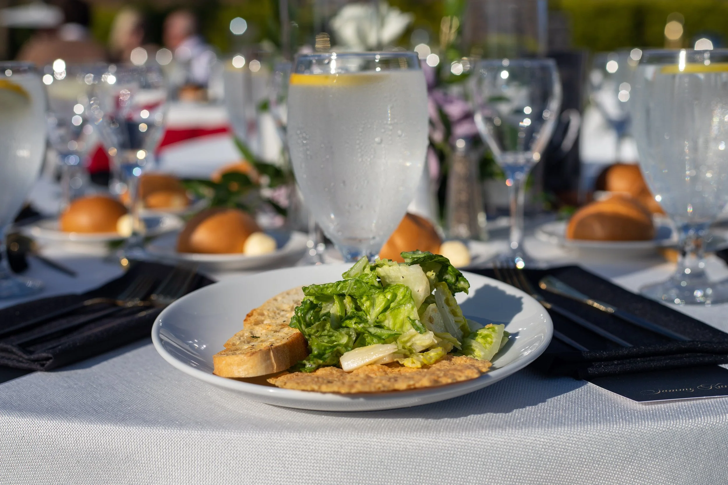 8.9.25 Conkin Kumar - Veronica - Malibu - Sea View Estates - Veronica-38.jpg