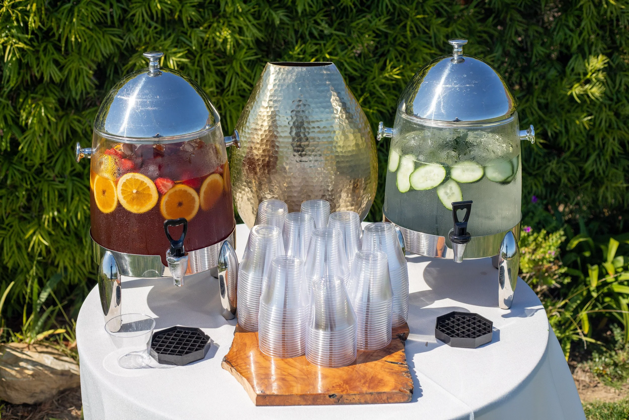 8.9.25 Conkin Kumar - Veronica - Malibu - Sea View Estates - Veronica-4.jpg