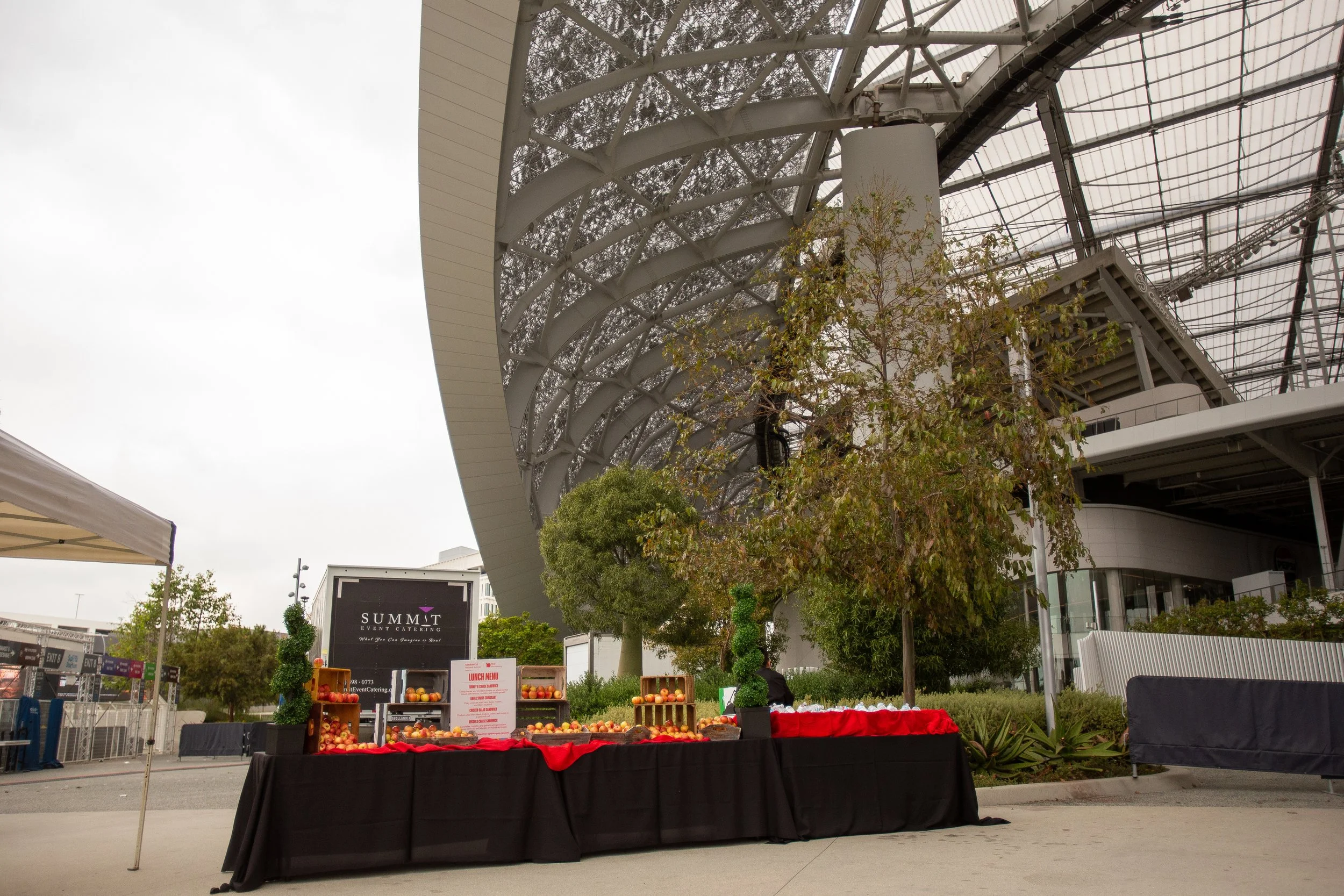 04.23.2025 SoFi Staduim - LA Promise - Veronica-27.jpg