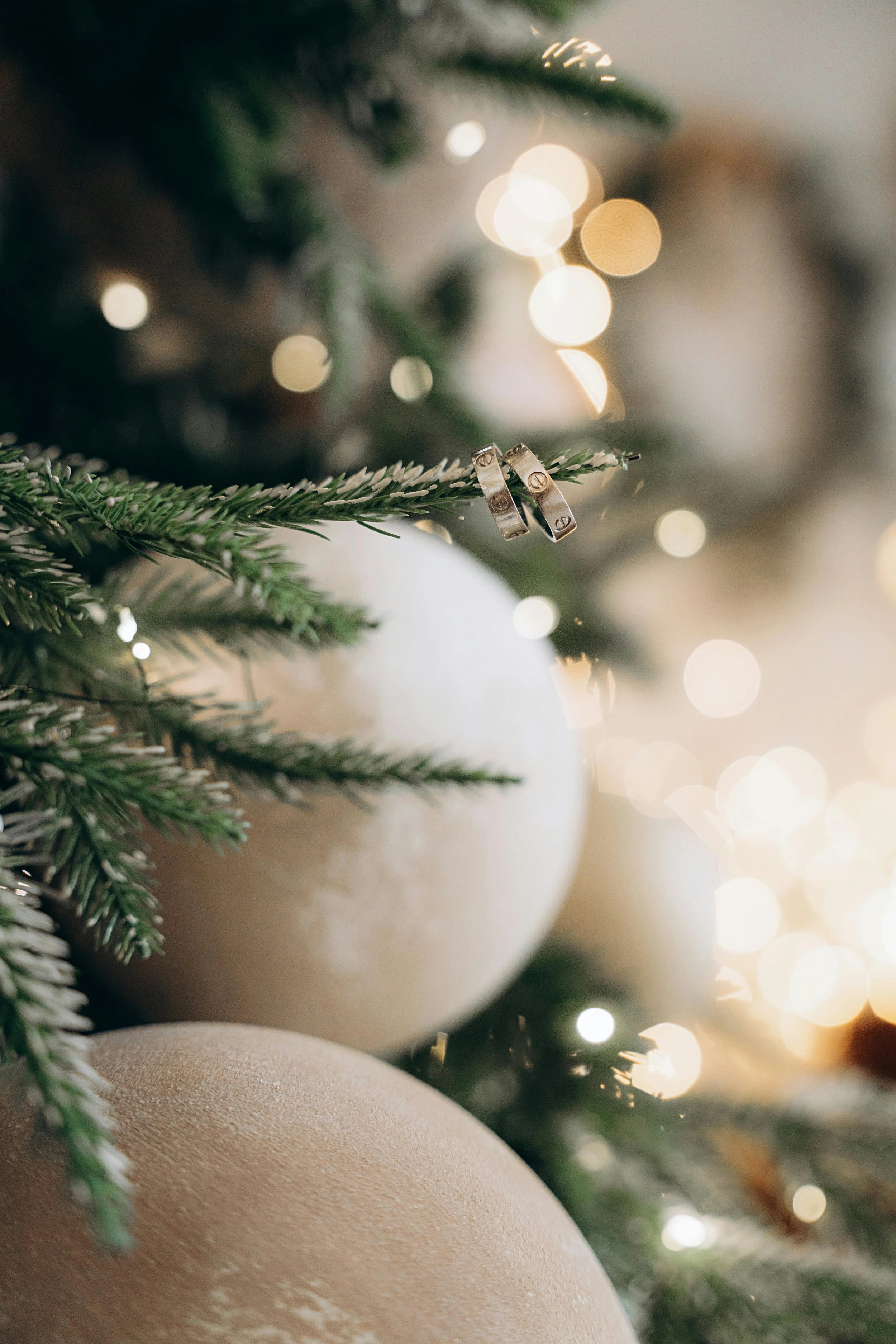 Just Engaged This Holiday?