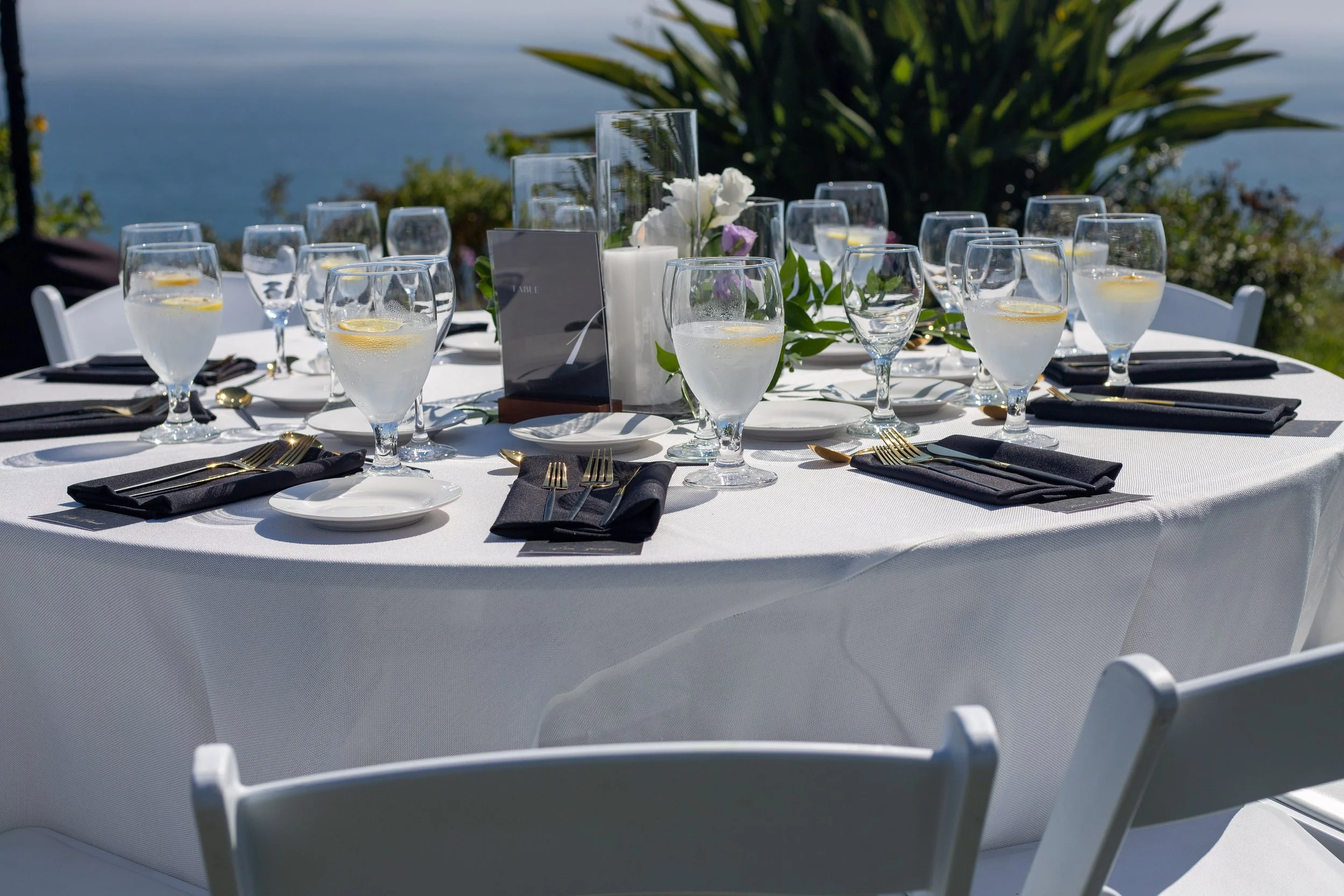 8.9.25 Conkin Kumar - Veronica - Malibu - Sea View Estates - Veronica-2.jpg