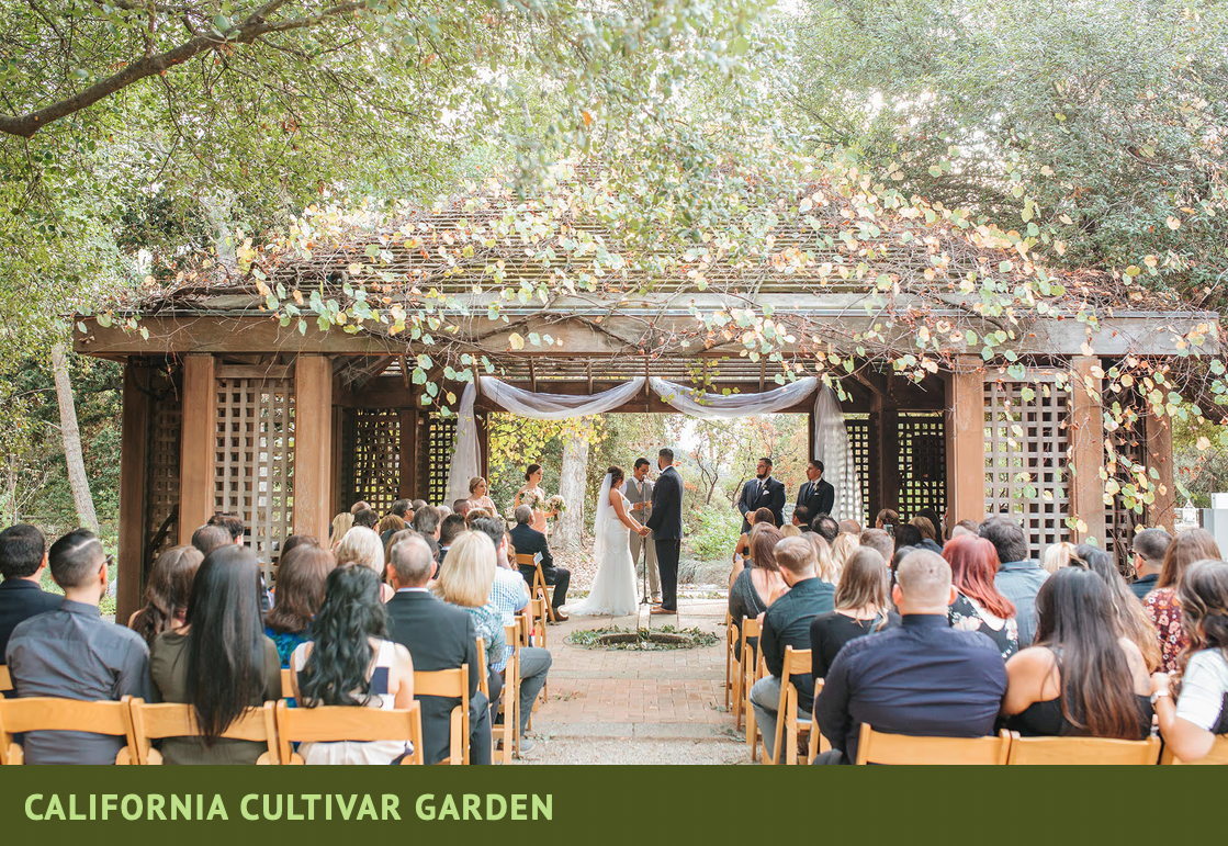 Screenshot 2026-02-11 at 9.15.55 AM.png