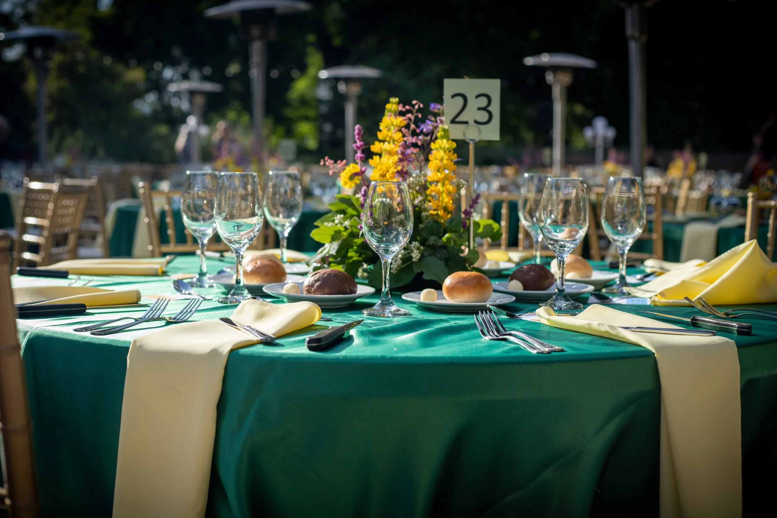 California Botanic Garden - 05.05.2024 - Tyler-87.jpg