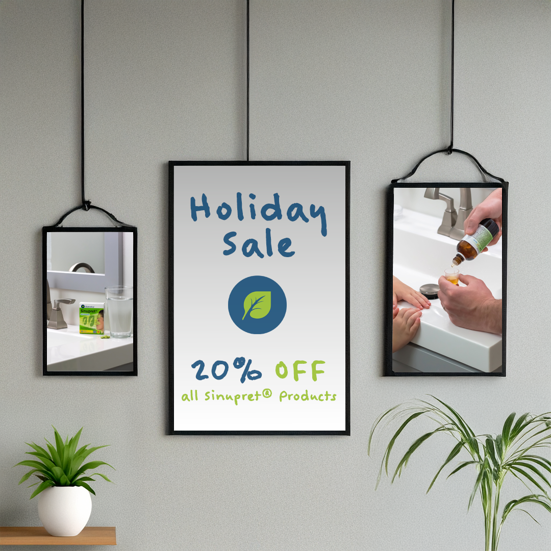 12 Holiday Sale V2 In-Feed PNG.png