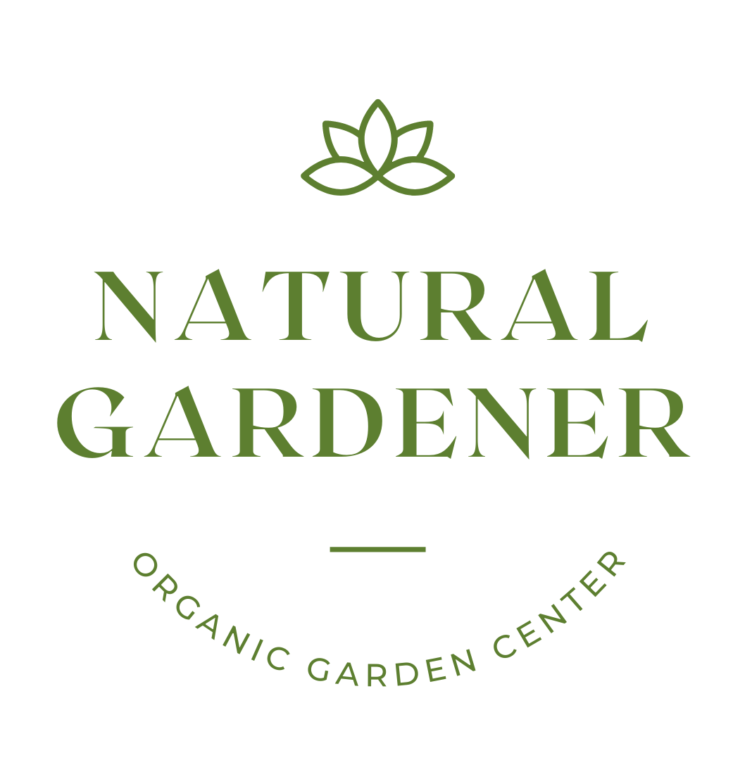 NG logo green.png