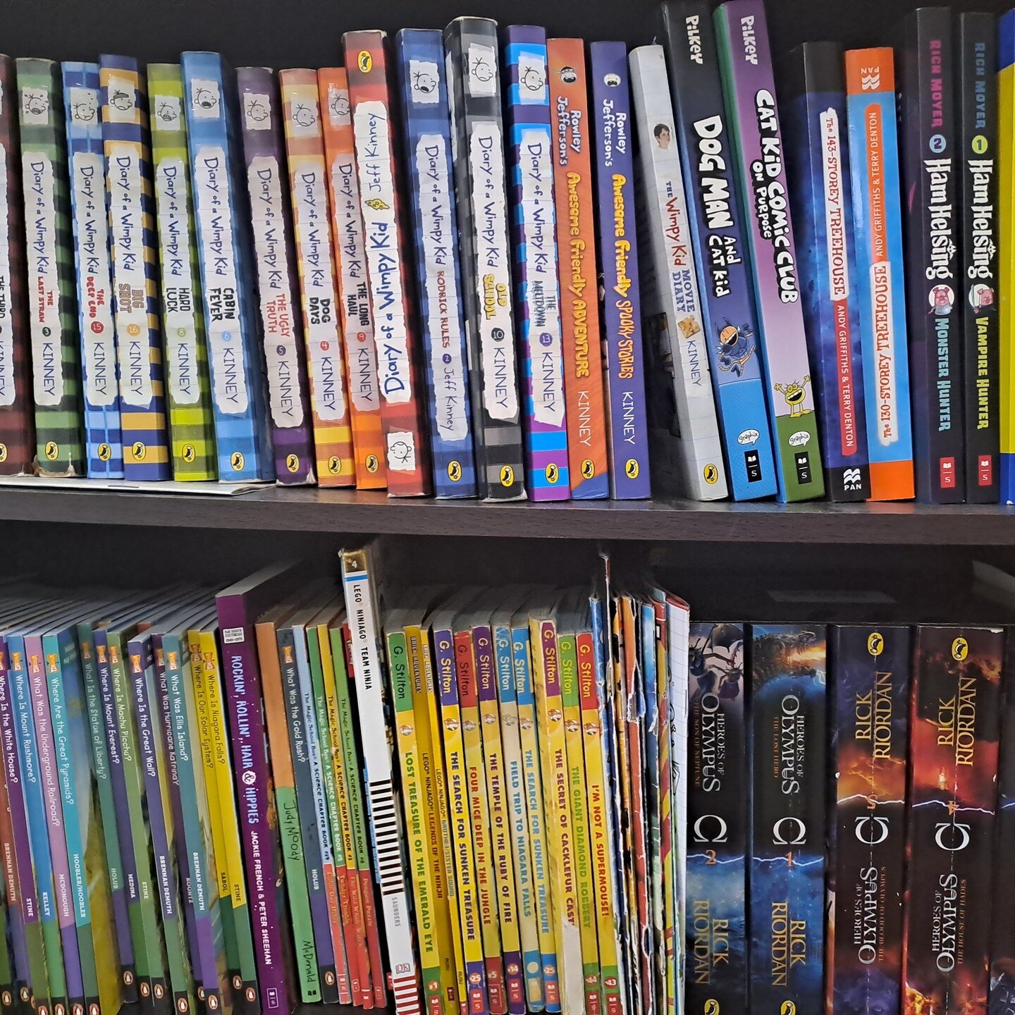 'My son spent much of the time in lockdown reading books. This gave me some time to do my own work.'

-Female participant

#books #bookshelf #childrensliterature #diaryofawimpykid #diaryofawimpykidseries #dogman
#everydayobjects #heroesofolympus #loc