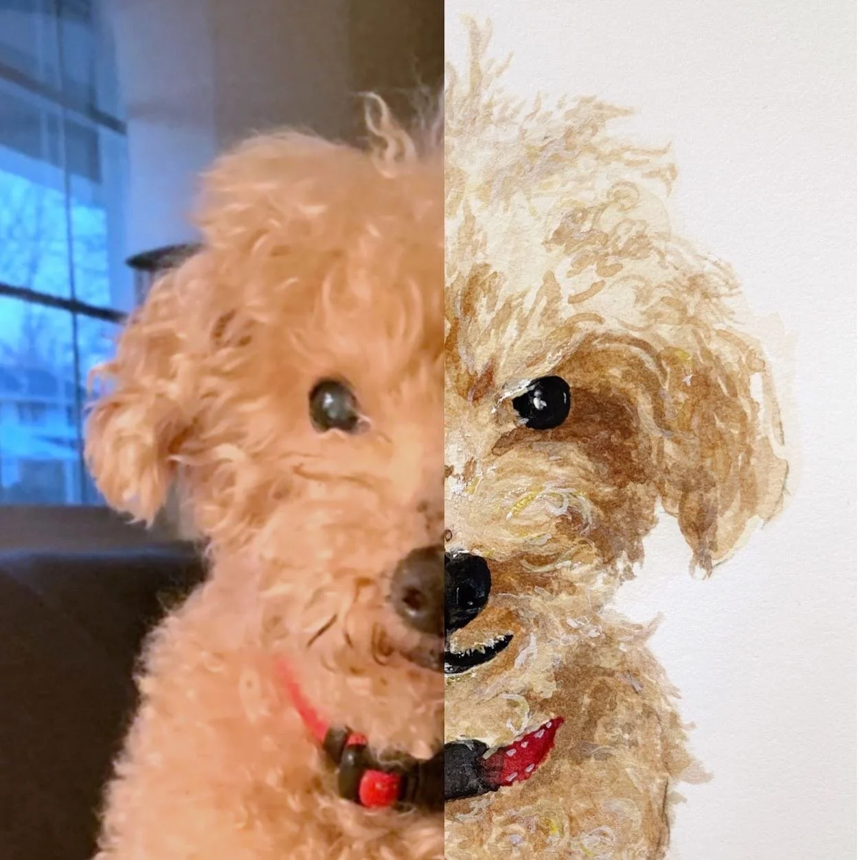 0071194E-3644-4B5E-8948-347B191C047E