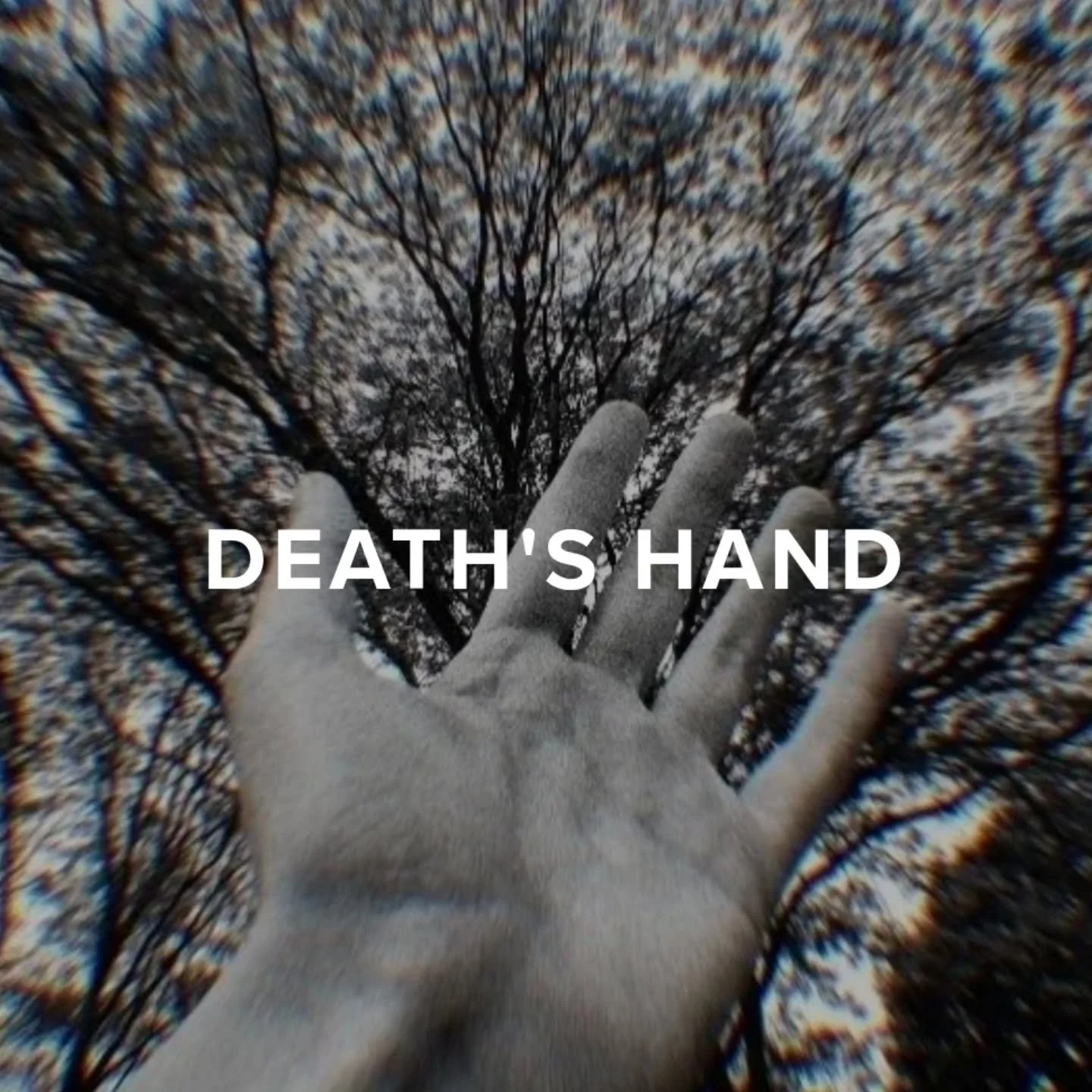 "Death's Hand"

"A young woman named Liz has a fated meeting with Death."

You can read the full short story on my website. Link is in the bio.

#writersofinstagram #writingcommunity #writing #shortstory #fiction
