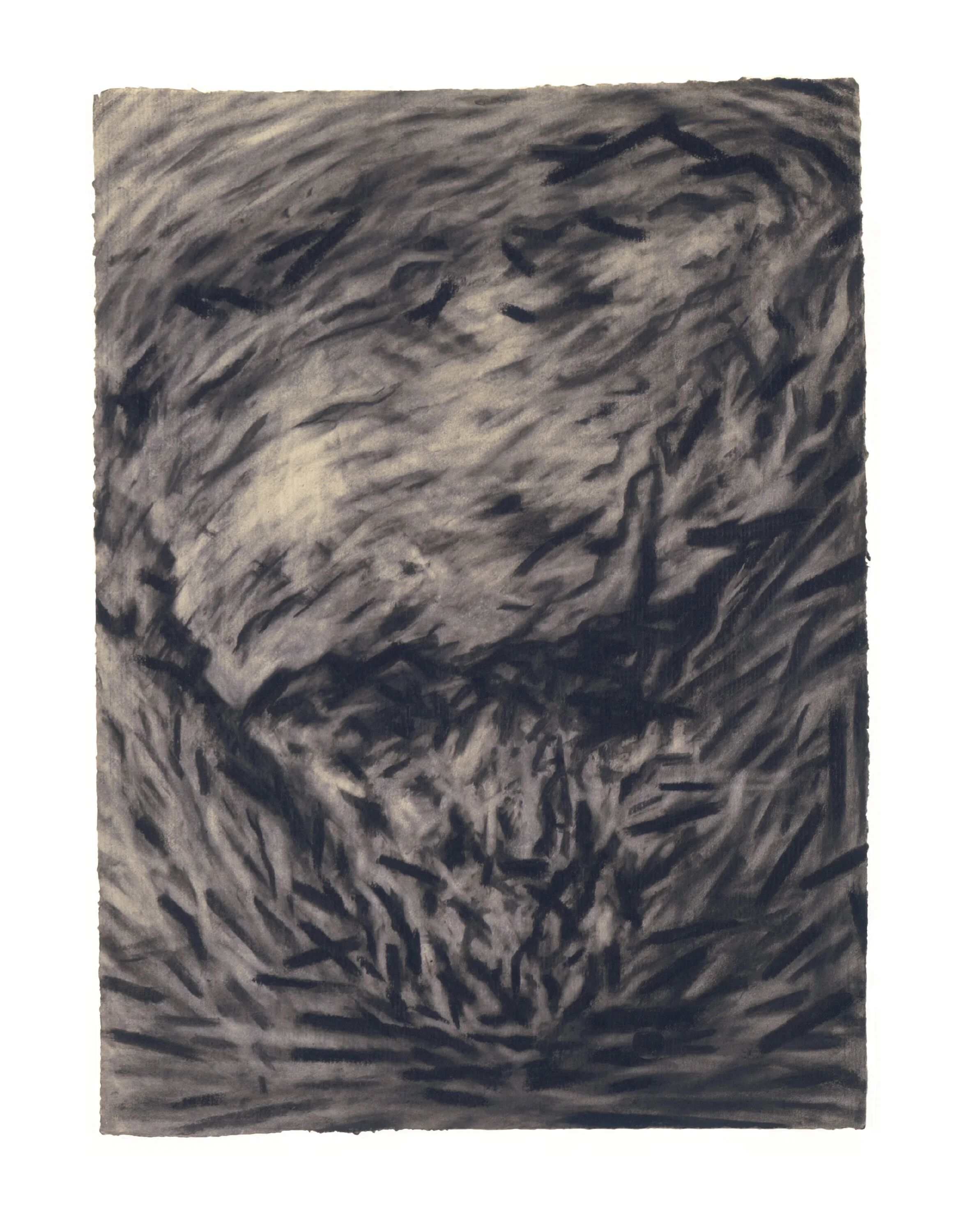  Untitled (head), 1983 Charcoal on paper 26’ x 21” 