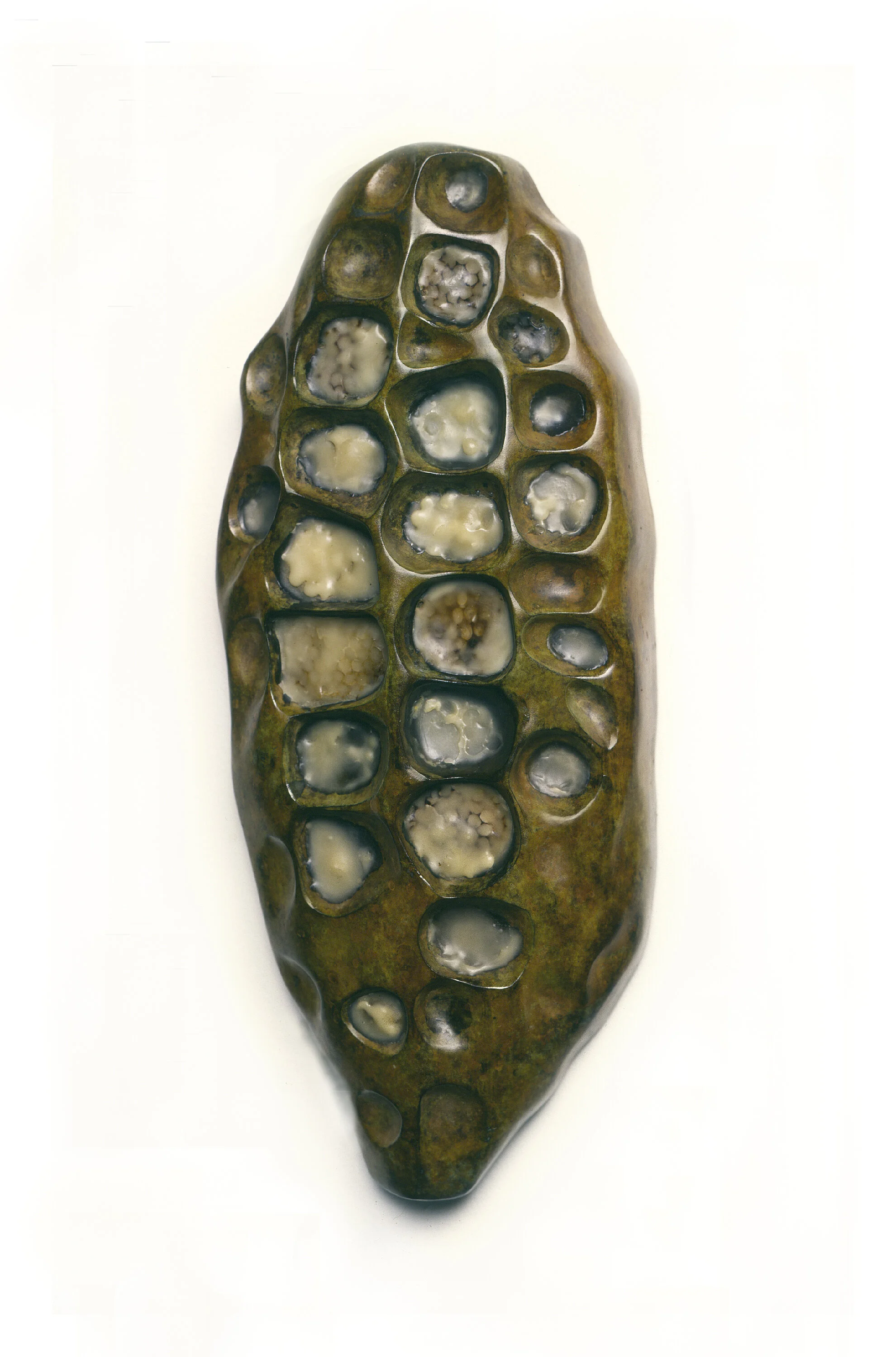  Fosil, 1987 Bronze, beehive and wax 15” x 7” x 1.5” 