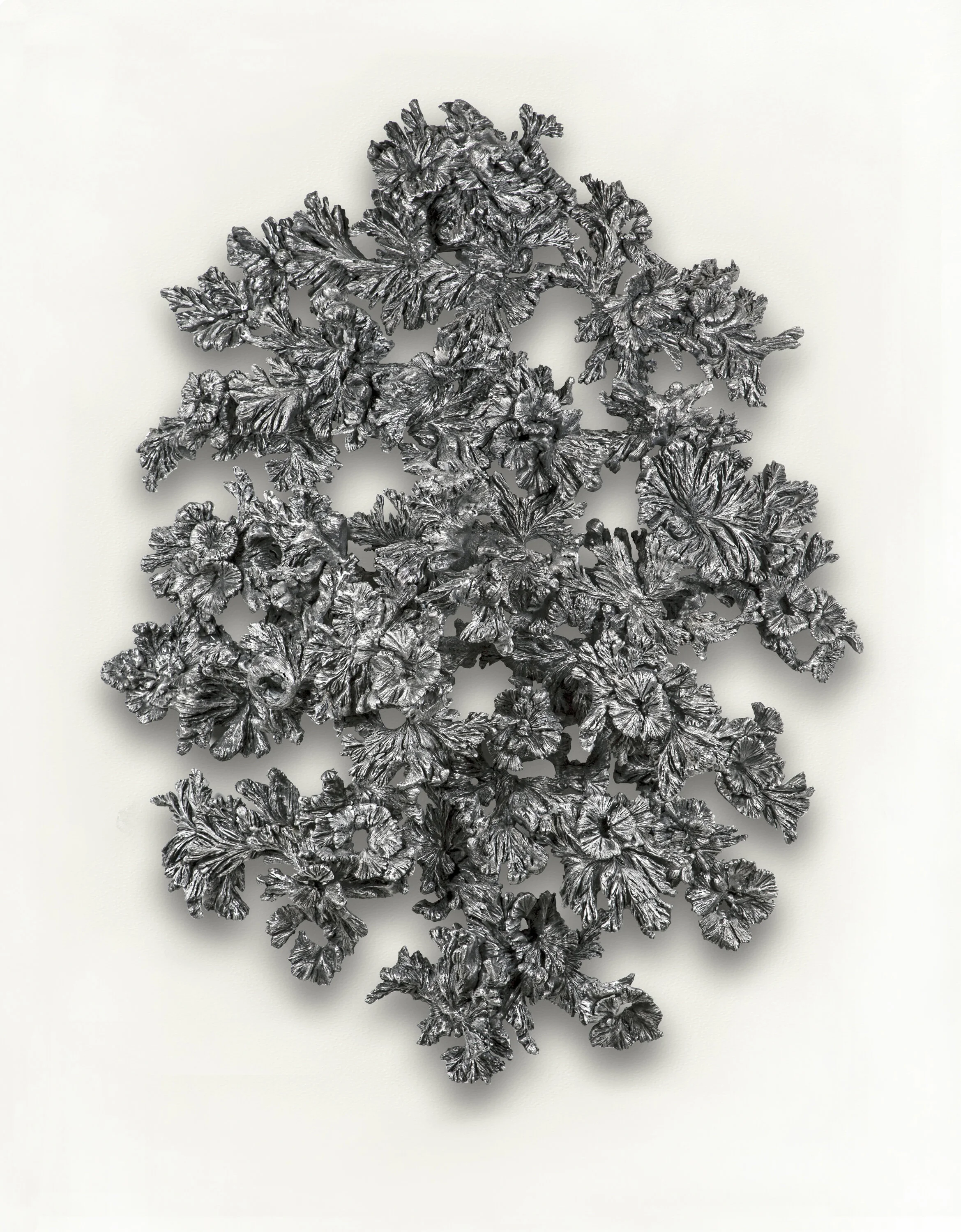  Flor de Encino, 2012 Patinaed aluminum 44” x 31” x 14” 