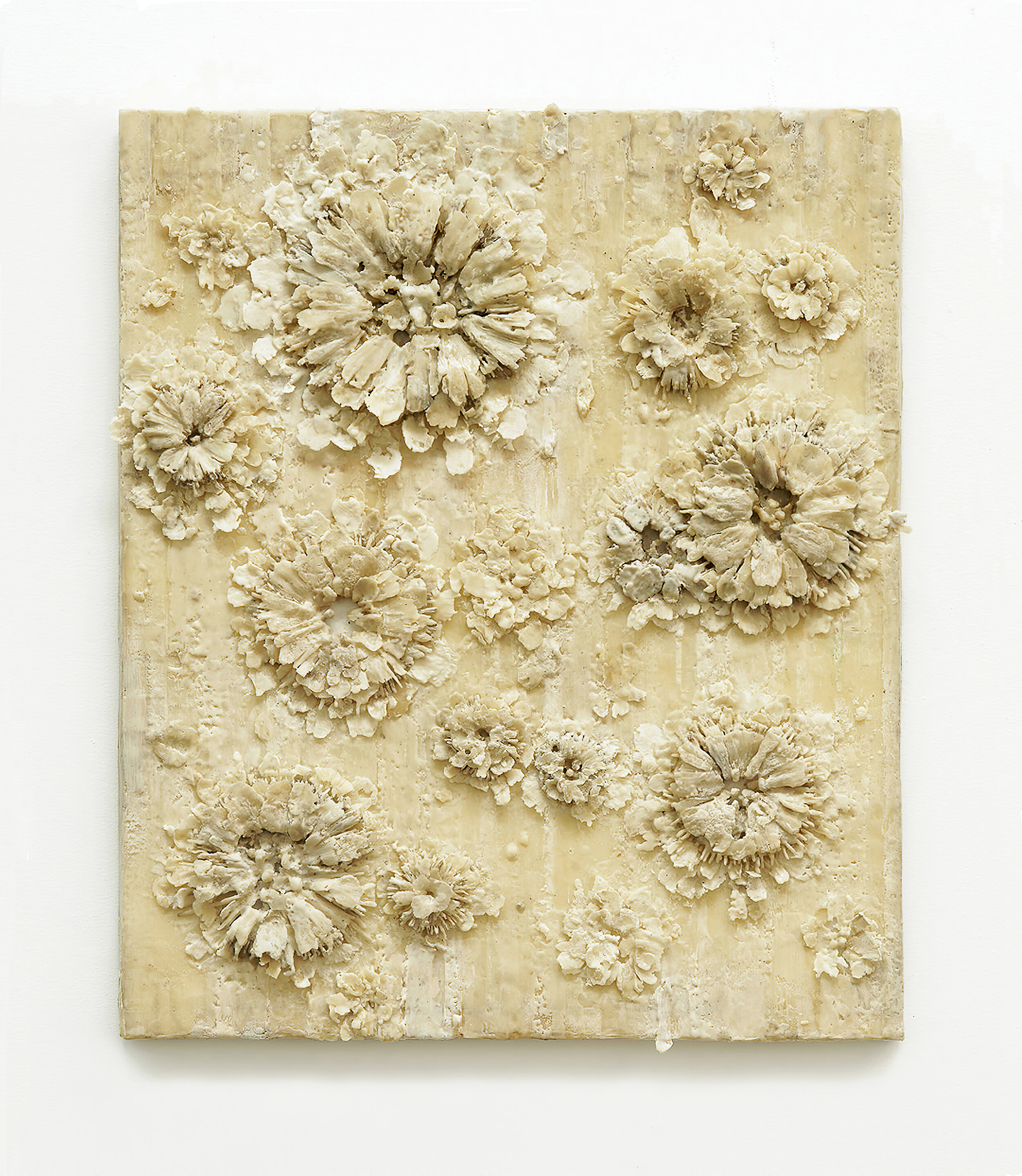  Profusion, 2015 Wax on wood panel 36” x 30” x 2.5” 