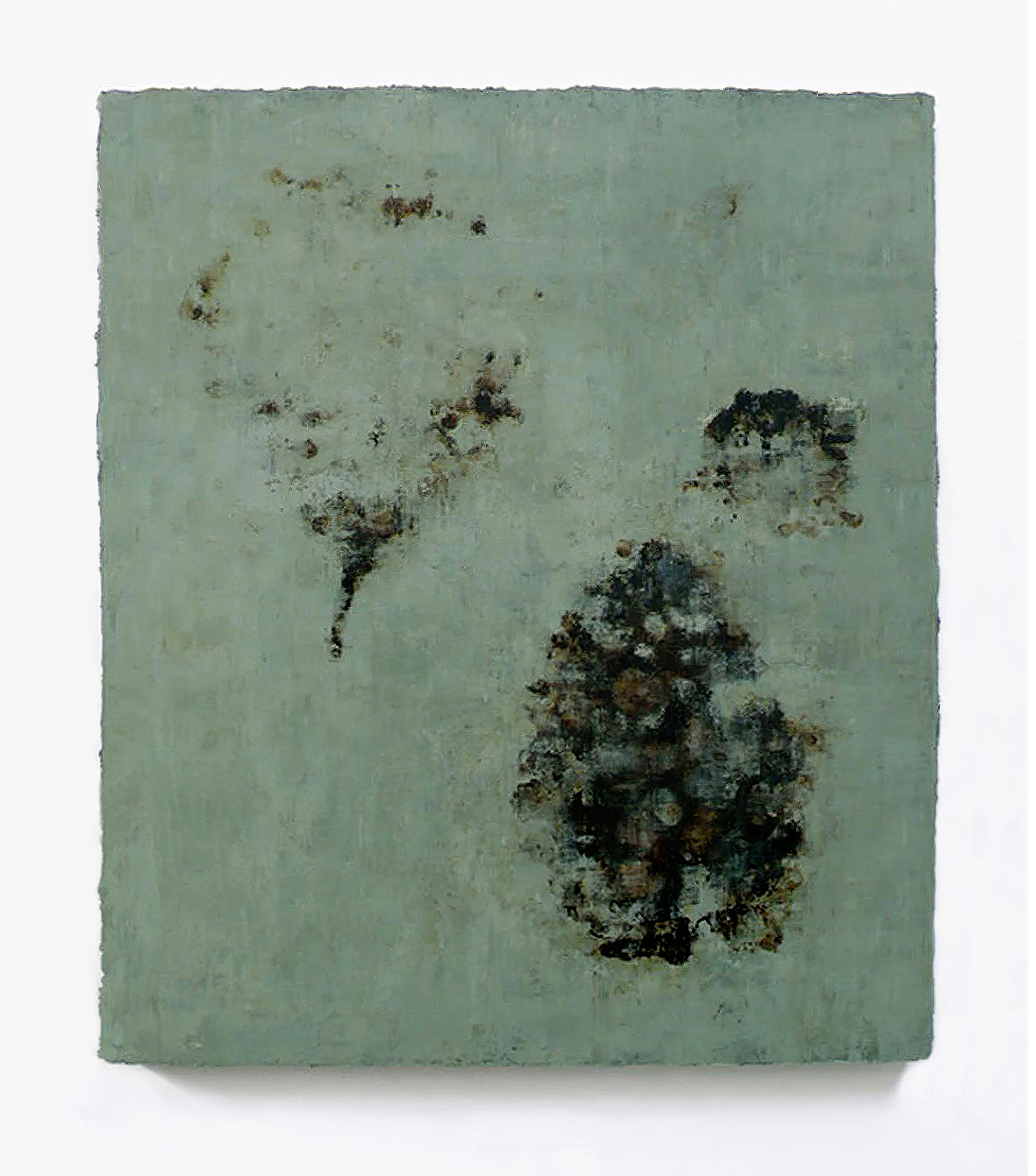  Green Riser III, 2008 Oil, asphalt, alykd resin on canvas 45” x 38” 
