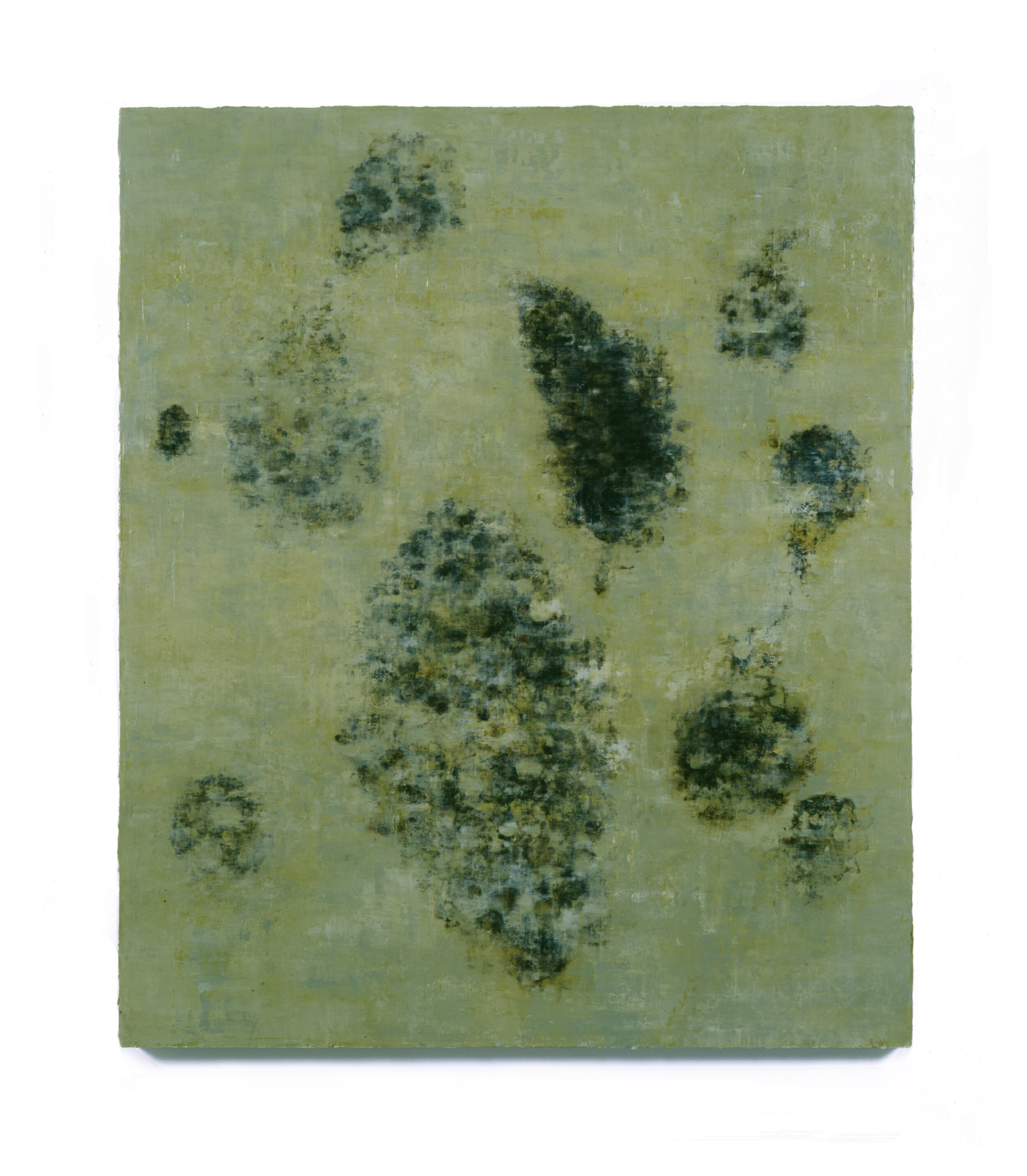  Brac, 2006 Oil, asphalt and alykd resin on canvas  