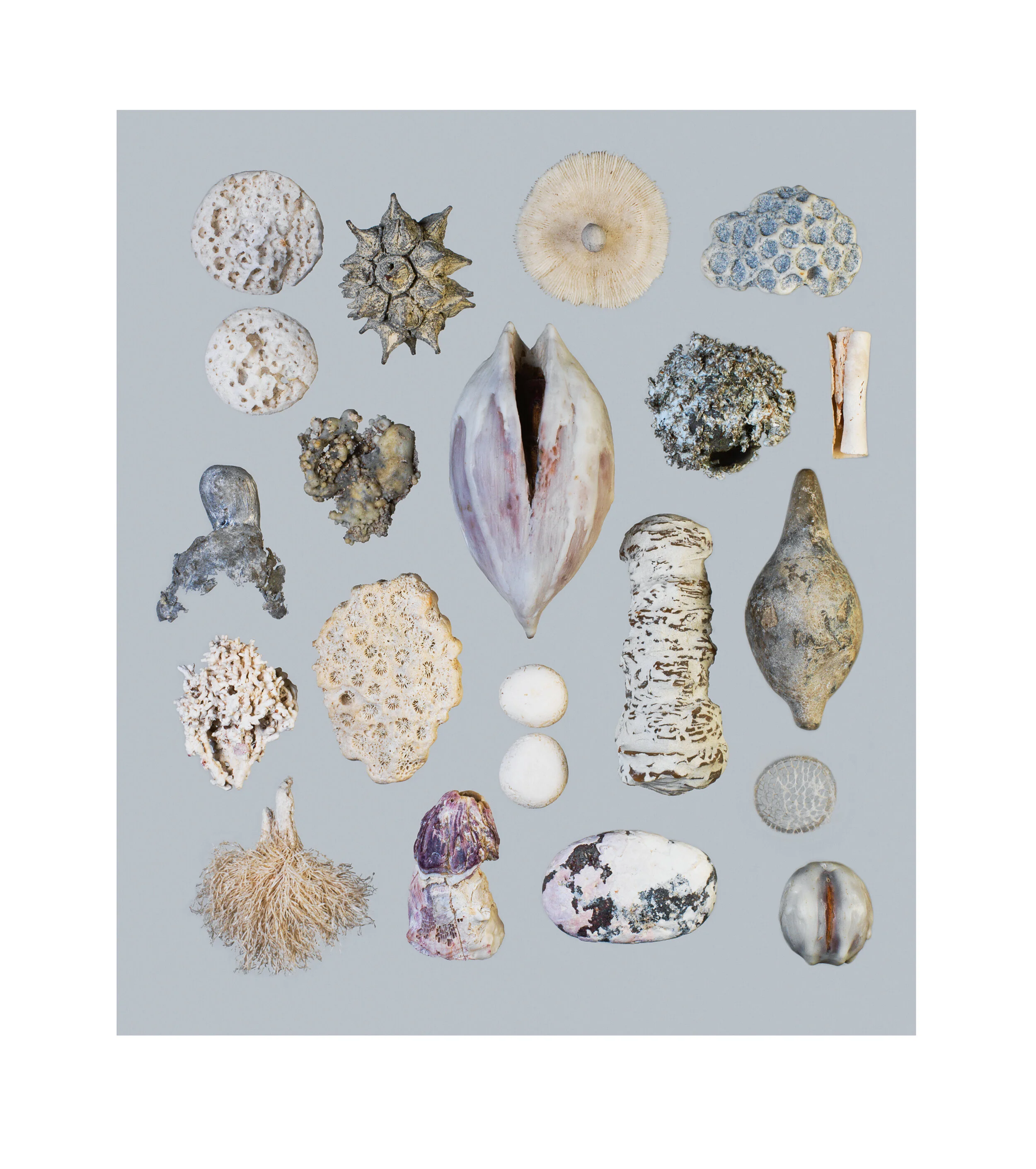  Selected Contents IV, 2012 Fuji Flex 44” x 38”  |  55” x 49” framed 