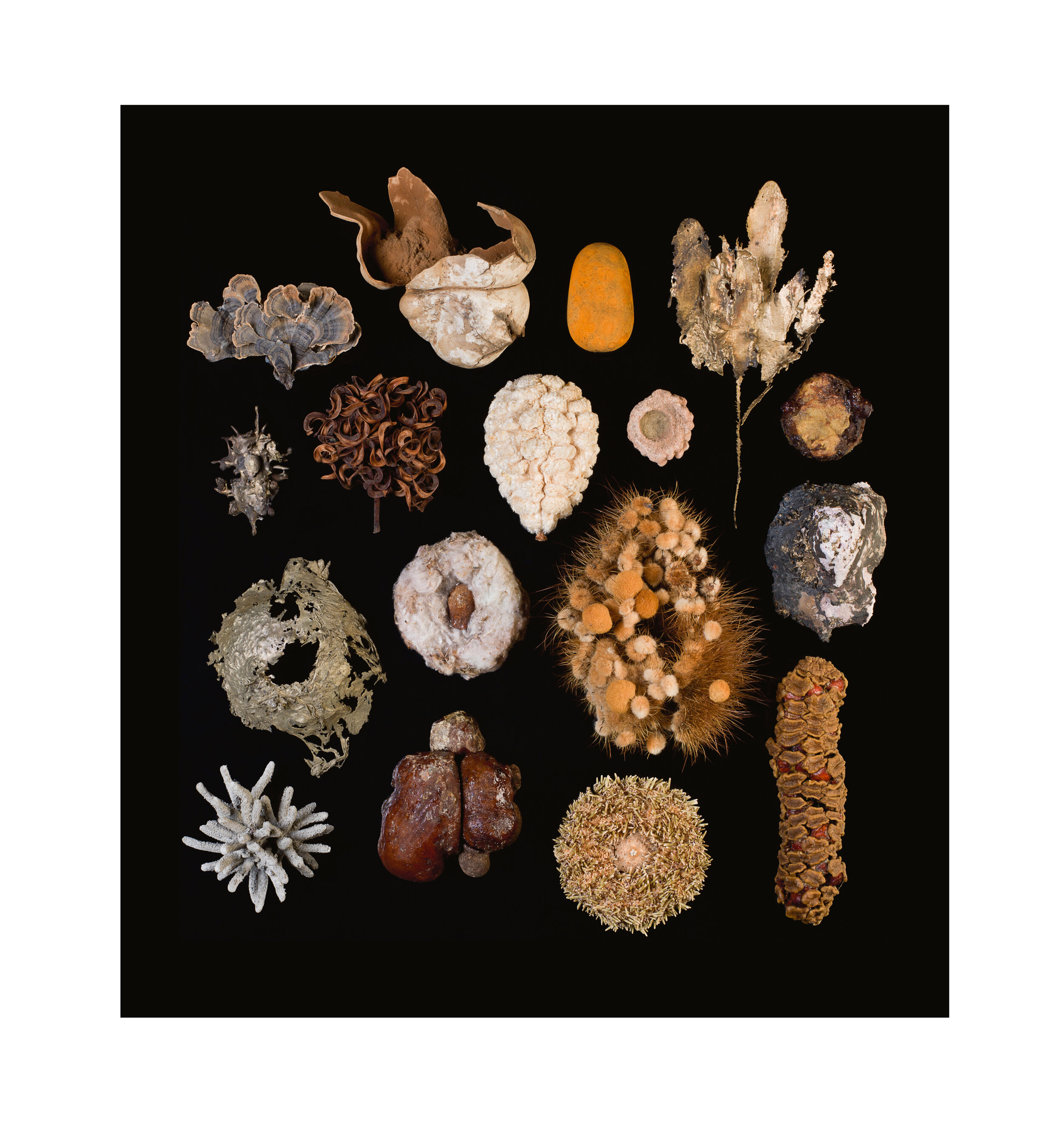  Selected Contents V, 2012 Fuji Flex 45” x 41”  |  55” x 51” framed 1 of 5 
