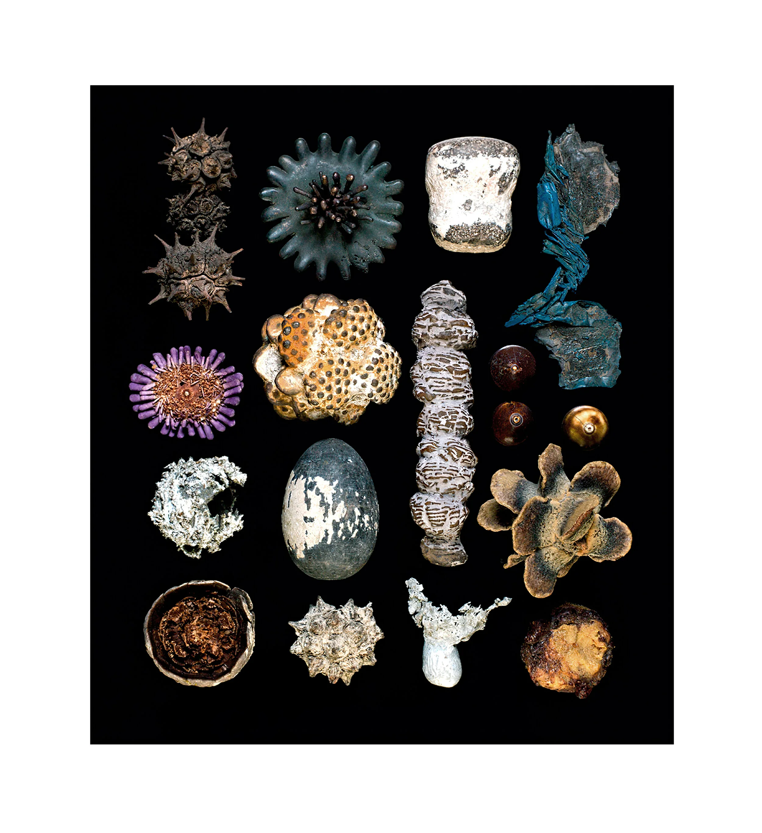  Selected Contents VII, 2012 Fuji Flex 45” x 39”  |  55” x 49” framed 1 of 1 