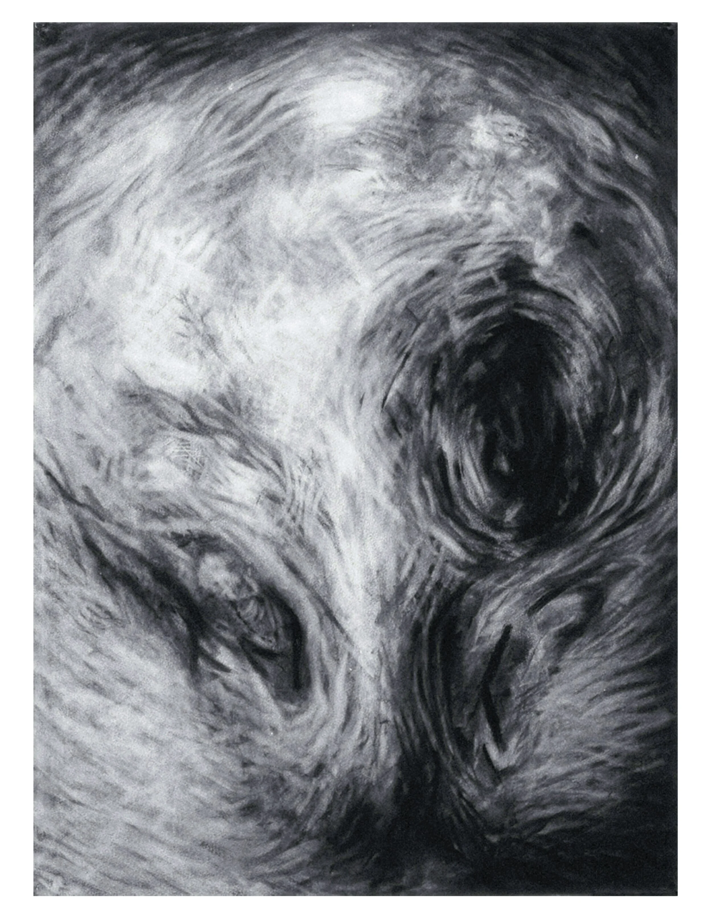  The Eleventh Floor, 1982 Charcoal on paper 34” x 28” 
