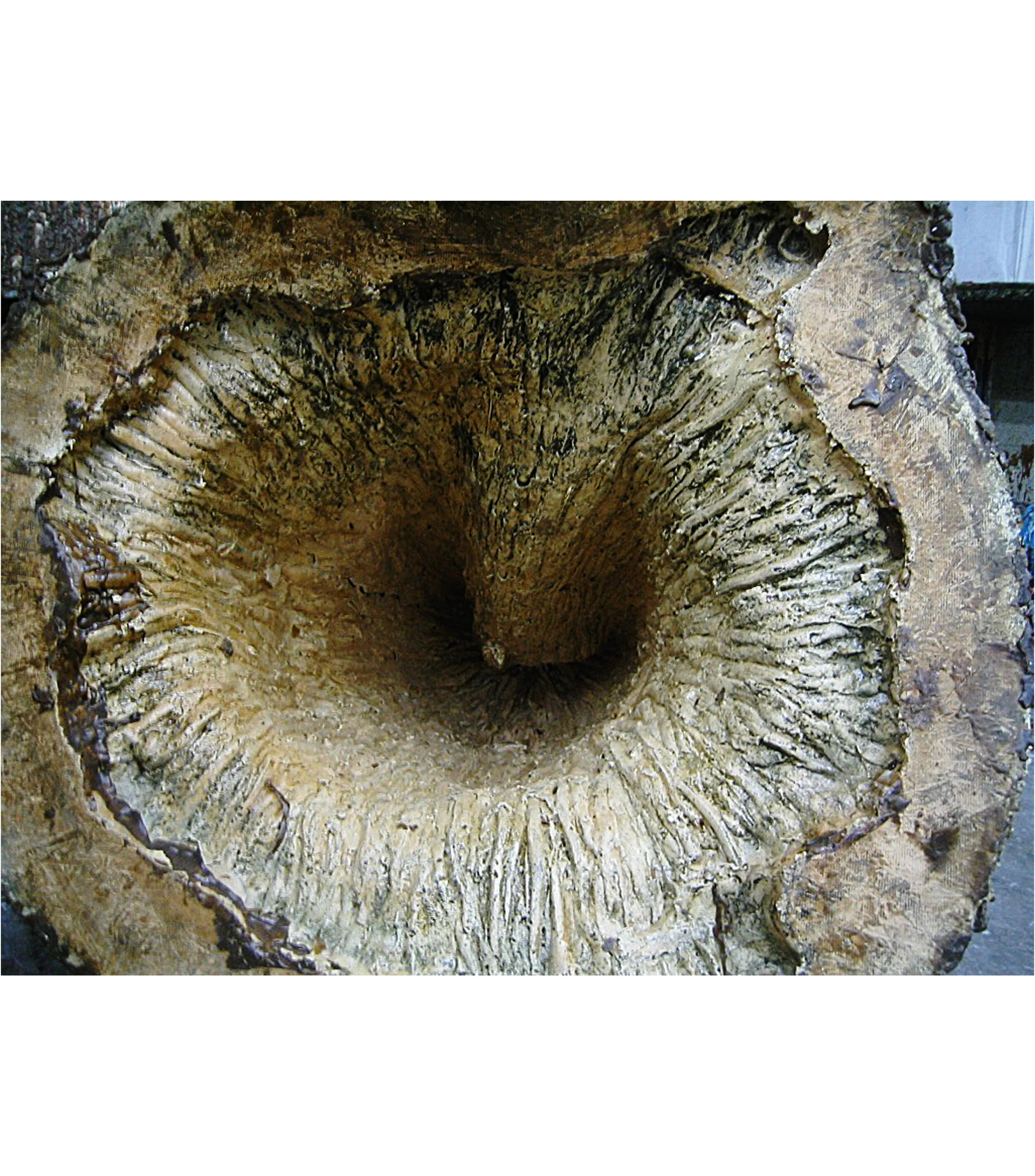 CF Process v125.jpg