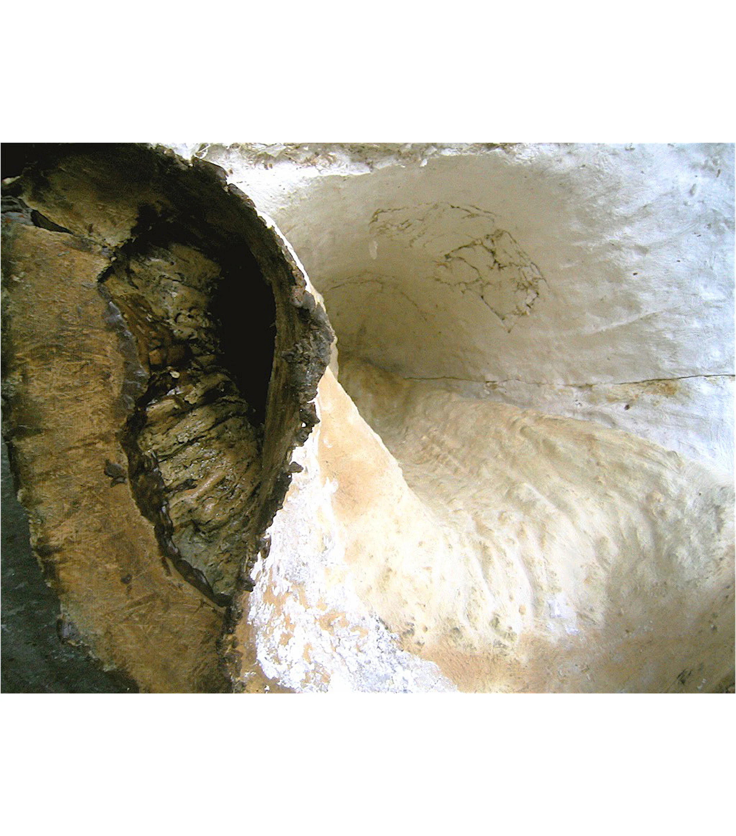 CF Process v126.jpg