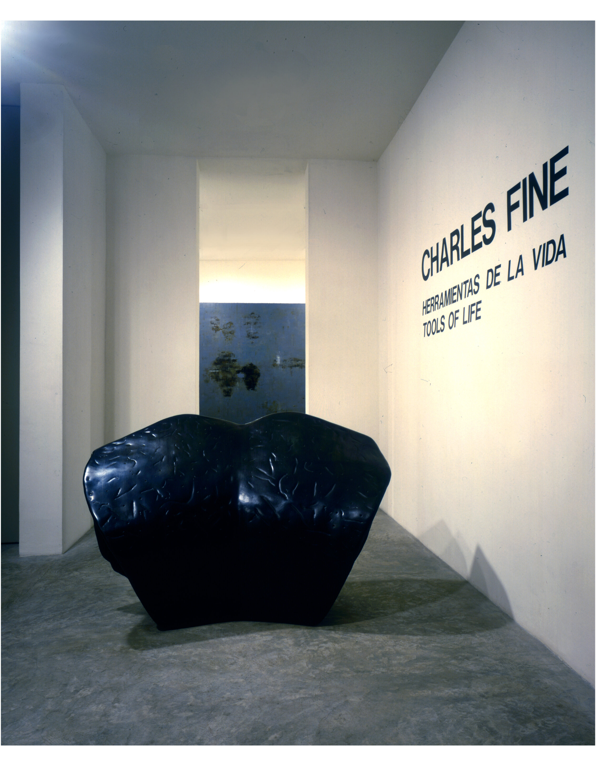 Ace Gallery, Mexico City, 1998