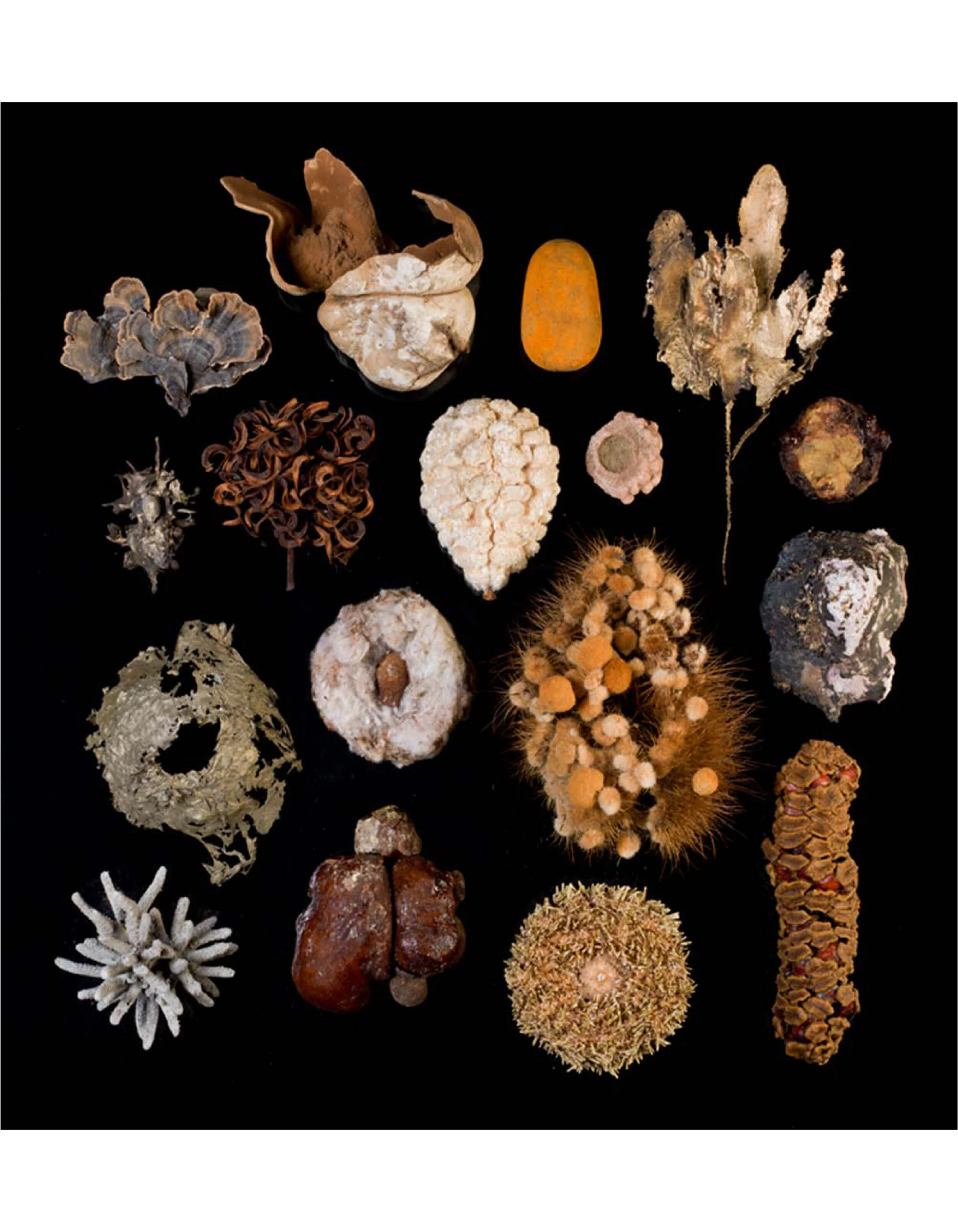 Selected Contents V, 2012 Fuji Flex 45” x 41” | 55” x 51” framed 1 of 5