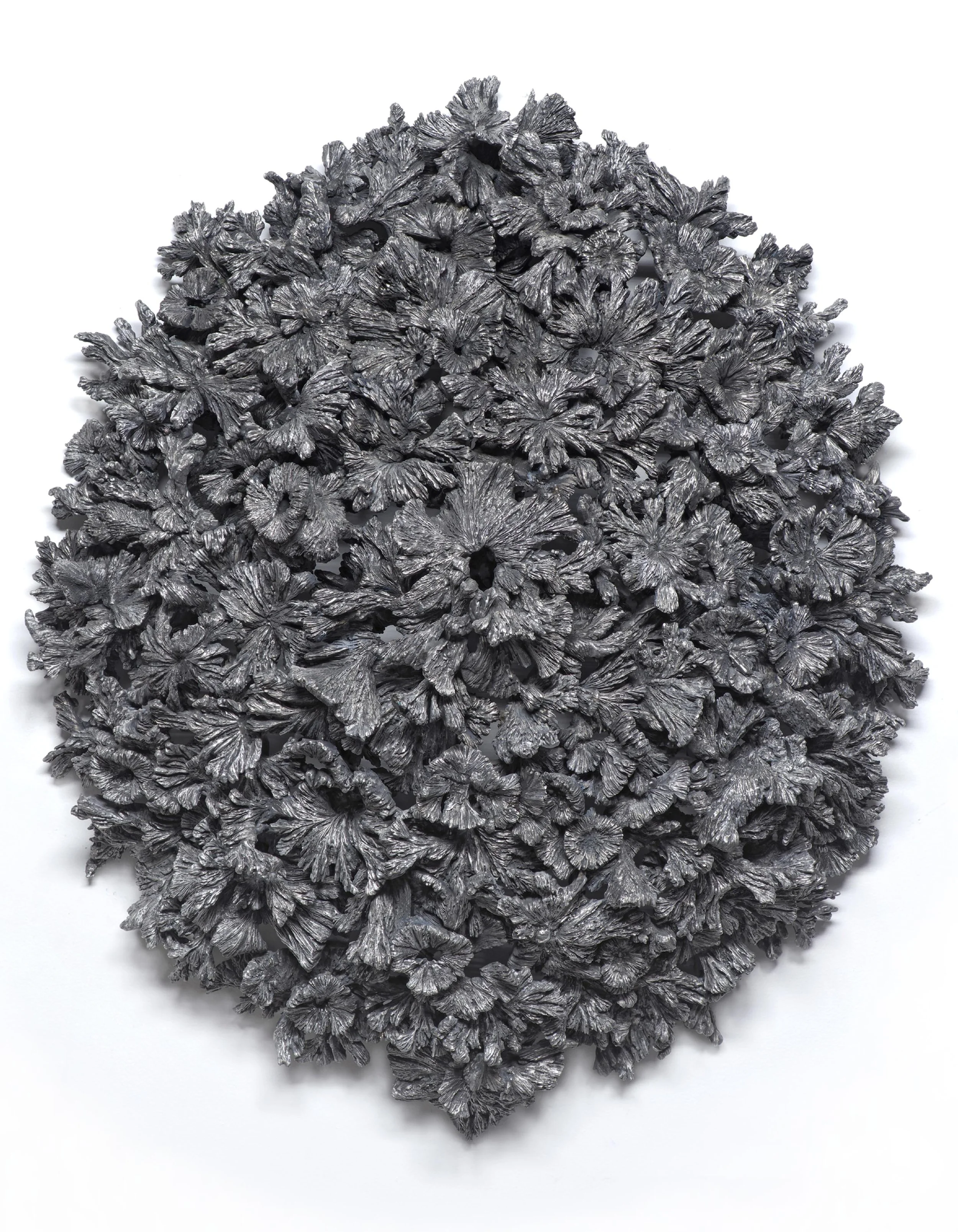  Flor de Encino IV, 2022 Patinated aluminum 44” x 38” x 12” 