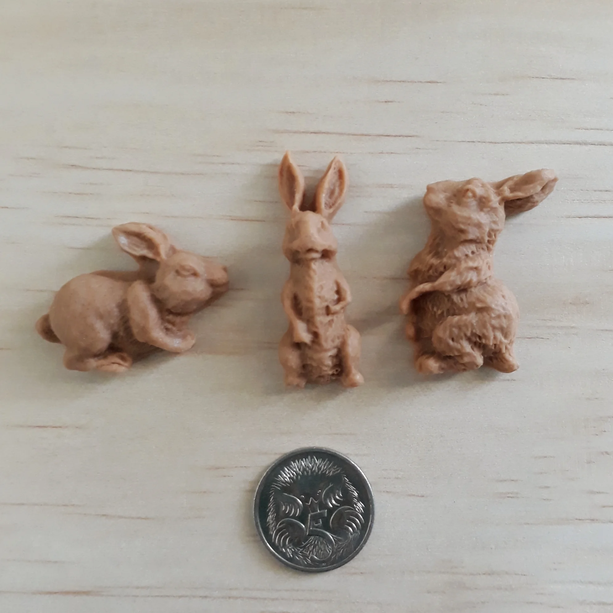 20191002_130551.jpg