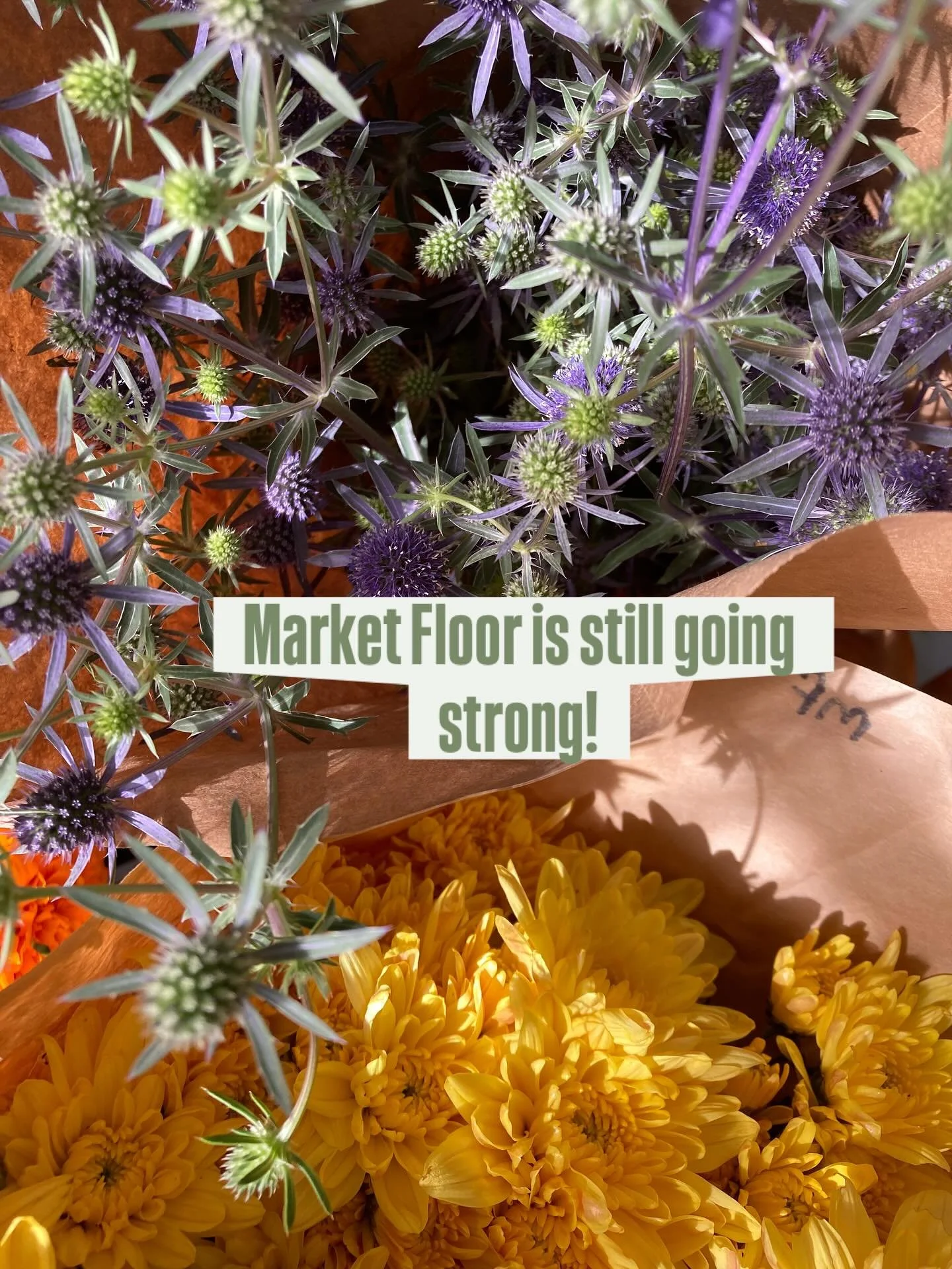 Fast approaching the end of our season - but our Market Floor is still going strong! A glorious wonderful weird mix of dahlias and winter greens, pear branches and sun flowers, the odd delphinium and oodles of mums. Plus the always cool Osage Orange,