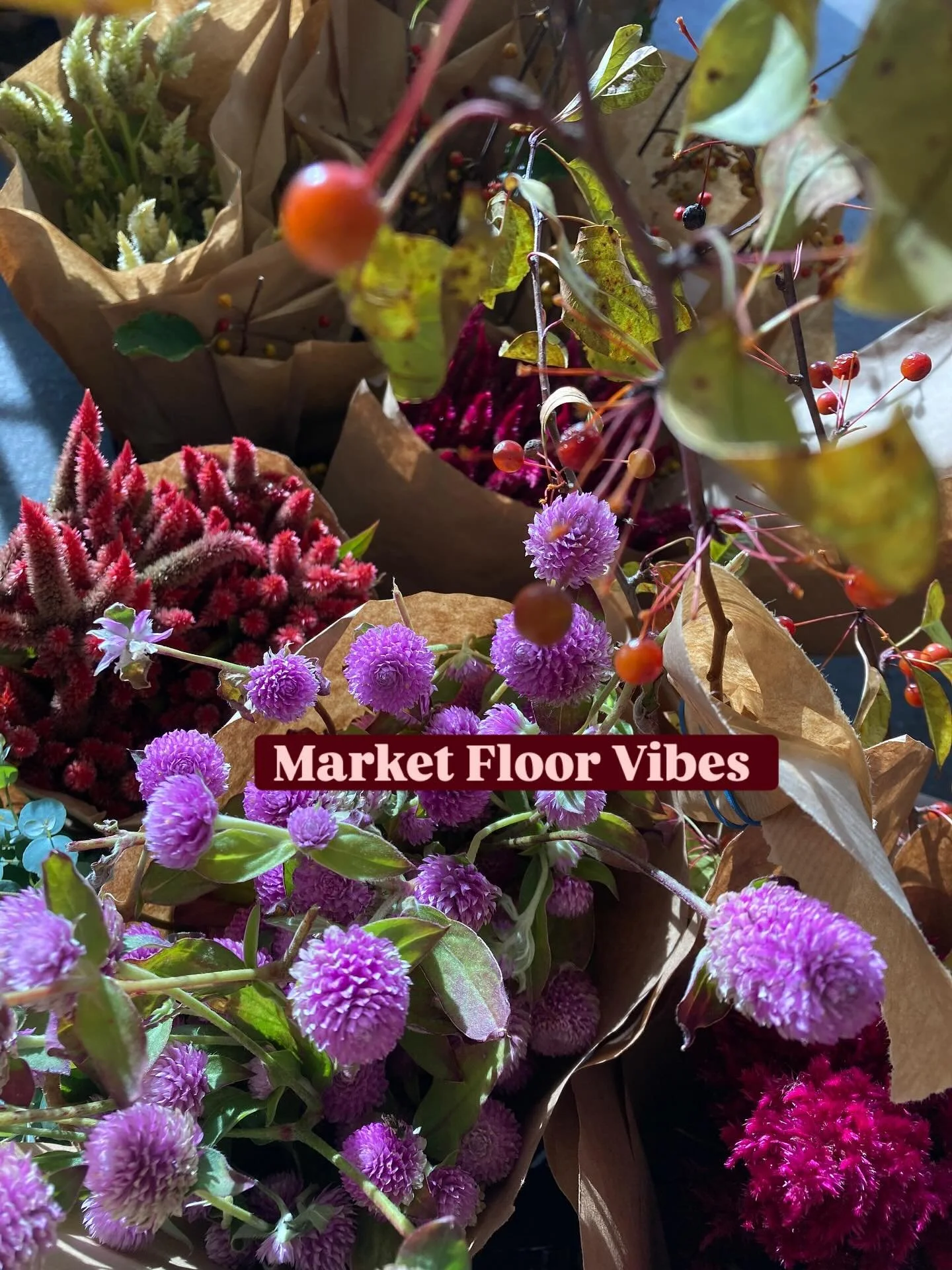 Our Market Floor is giving major Fall Vibes today! 🍂🍁🍂 Wednesday 10.15.25 Come by and get all the lush rich foliage &amp; blooms and dried flowers you can while we are still open!!! #season #countdown