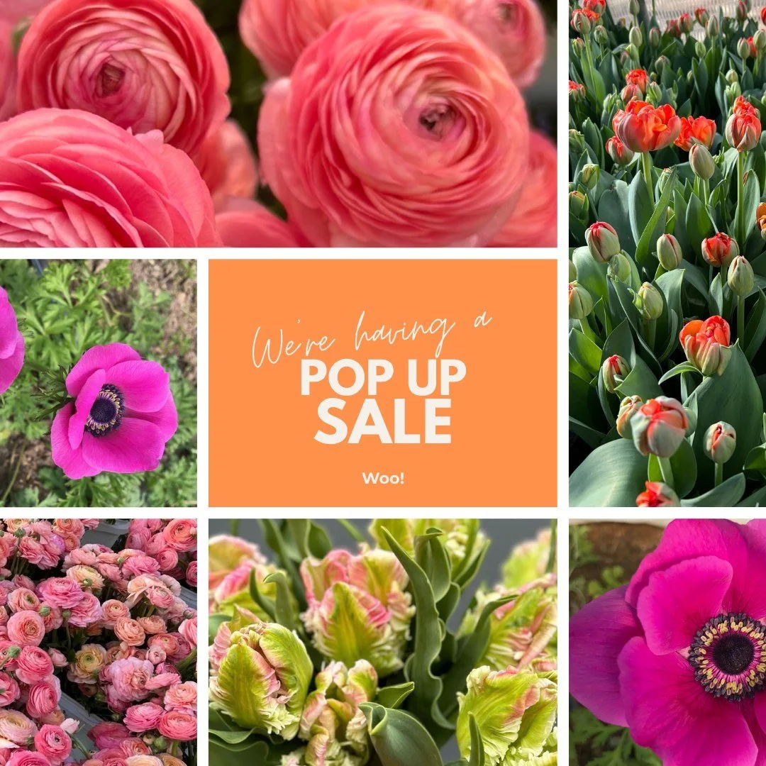 We are so excited to open our doors for the season, that we just couldn&rsquo;t wait until April 7th! Join us on Thursday April 2nd for a pop up sale.  Inventory will be available on Rooted for pre-order on Wednesday, March 25th.  We are looking forw