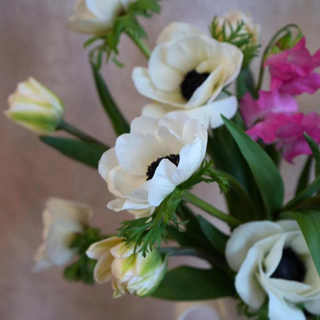 Last week at the coop! We had quite the week with our pop up sale and several of our grower members participating in a Q&amp;A panel held by the horticulture and landscape department at the County College of Morris.  @the_everlasting_garden  @beaumon