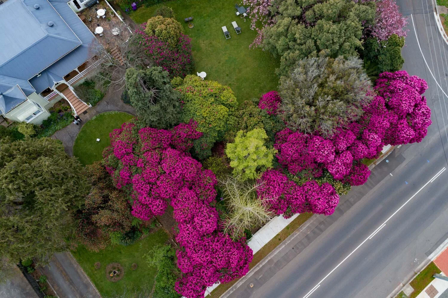 DJI_0038.jpg