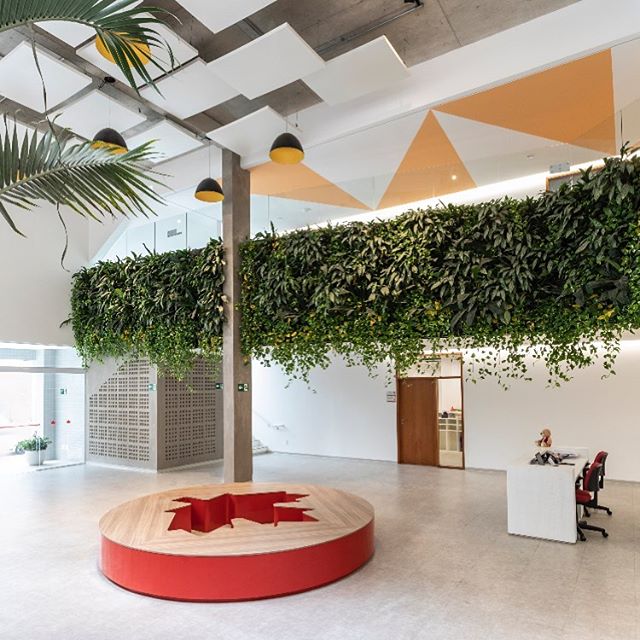 Nosso tbt de hoje Maple Bear de Santos.... esse banco maravilhoso foi desenvolvido por nos!!! Estamos em Love por esse projeto! #tbt #arquiteturadeinteriores #arquitetura #arquiteturaescolar #maplebear #maplebearbrasil #santos #interiores