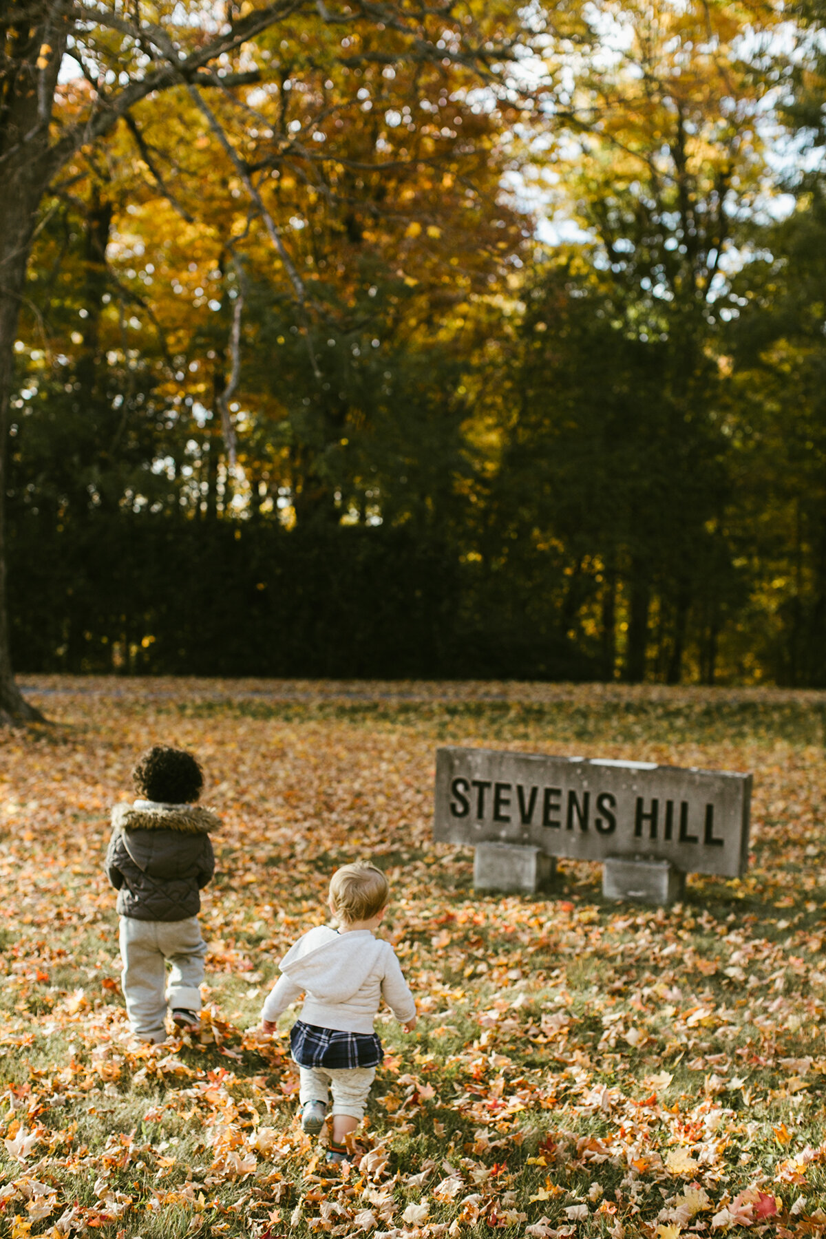 161015_StephensHill_057_smaller.jpg