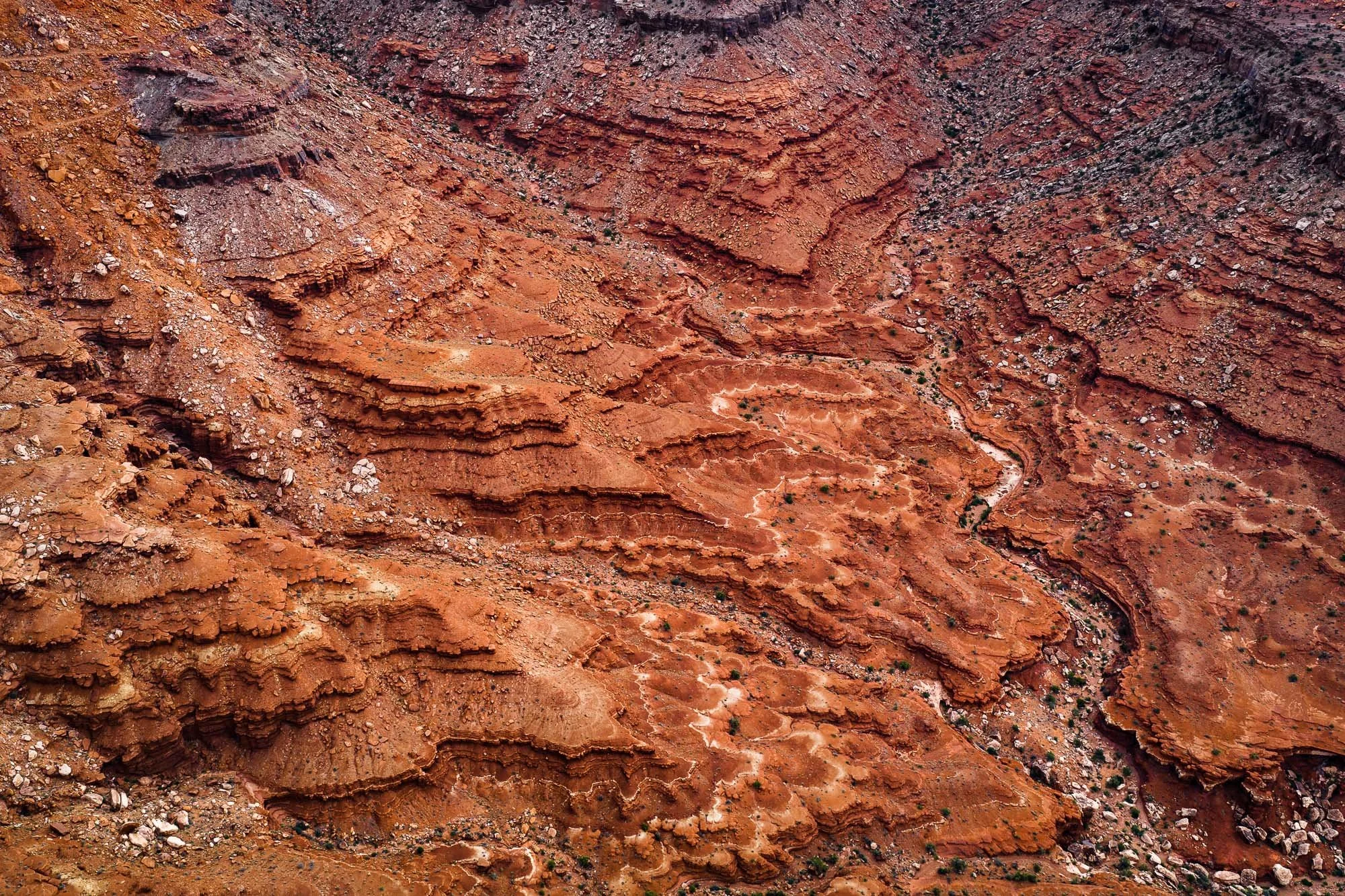 DJI_20260416091259_0258_D.jpg