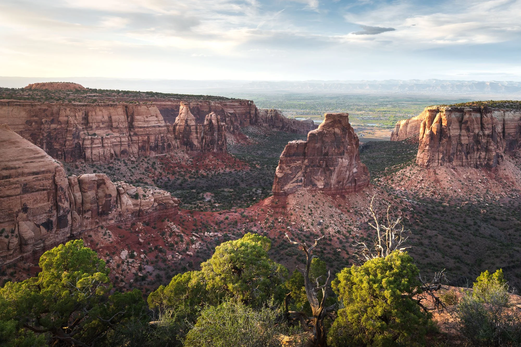 _DSC6003.jpg