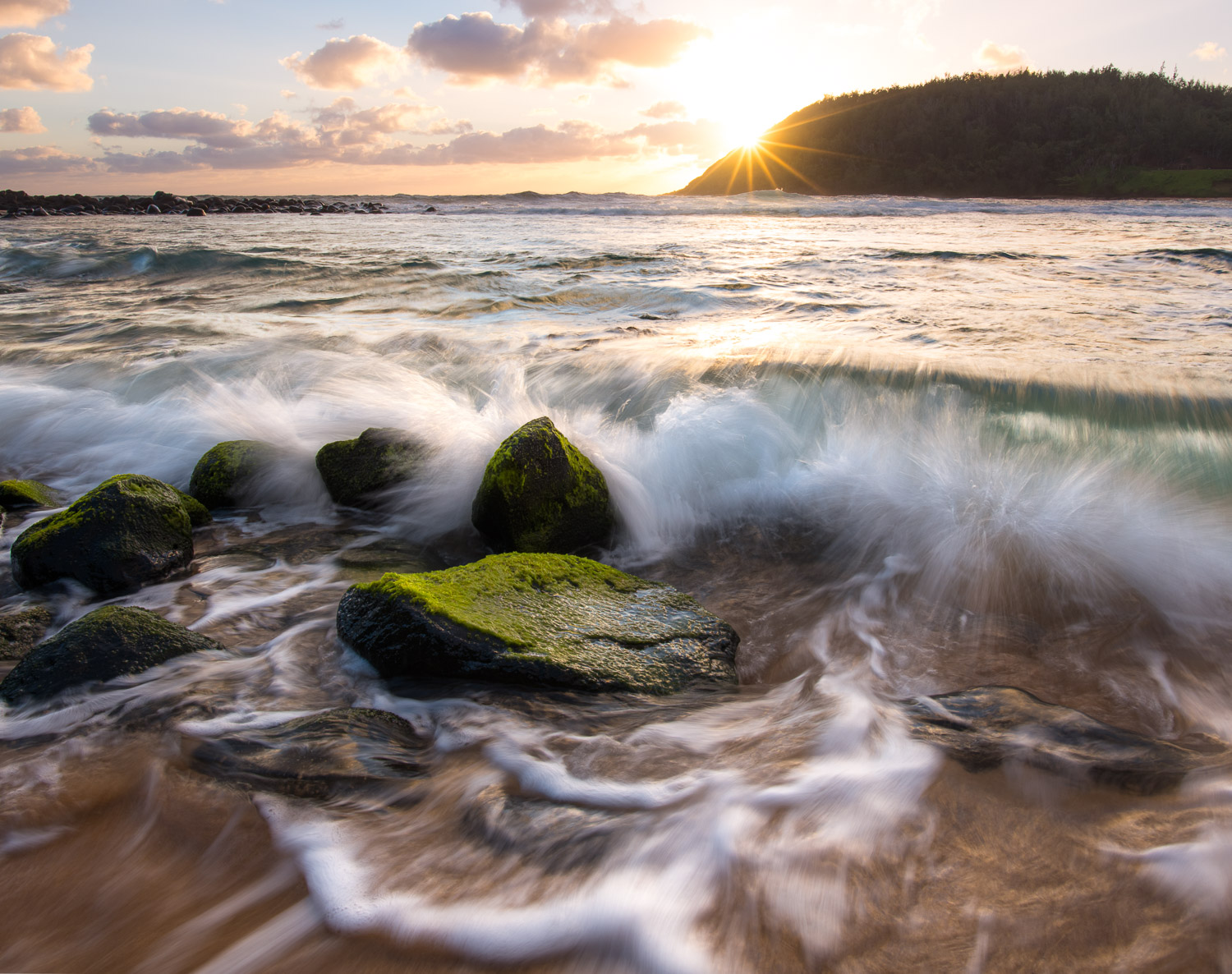 kauai--2.jpg