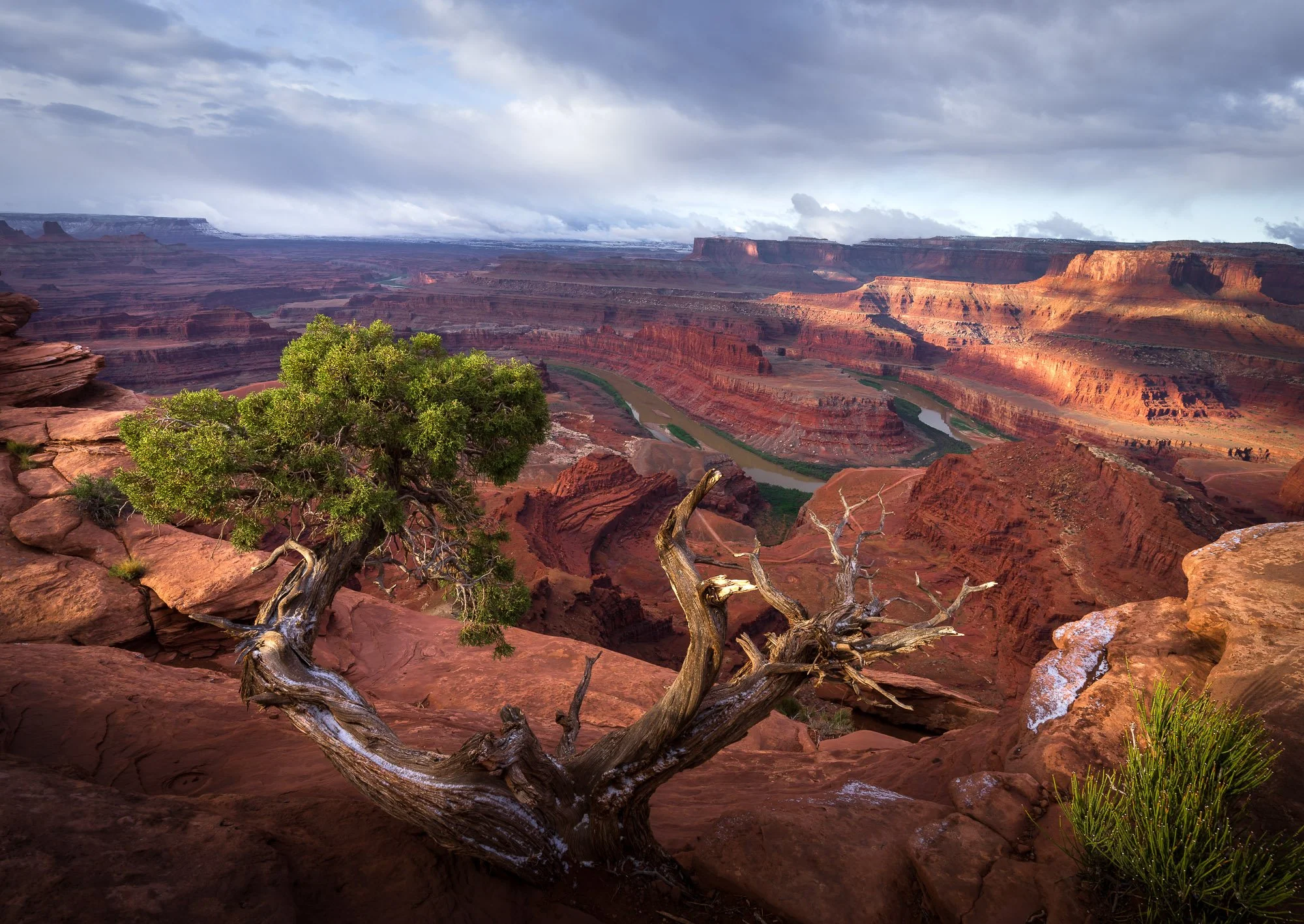 _DSC5044.jpg
