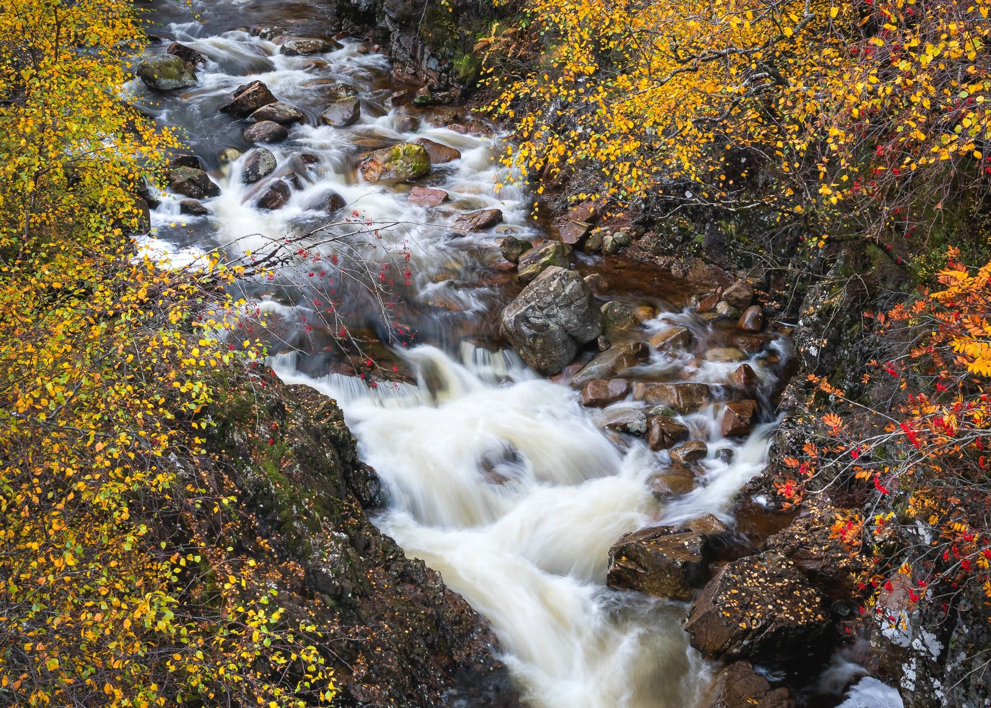 _DSC1181.jpg