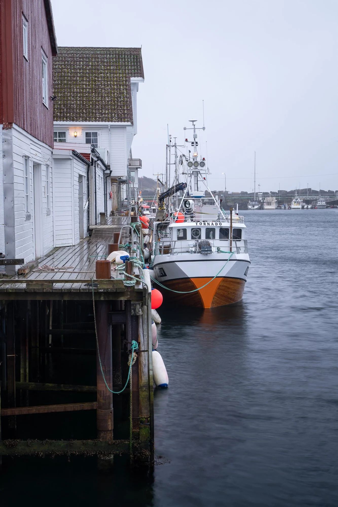 _DSC7994.jpg