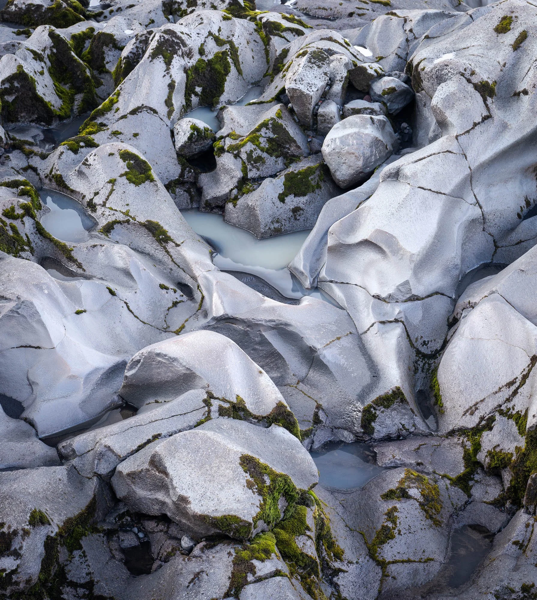 _DSC5010.jpg