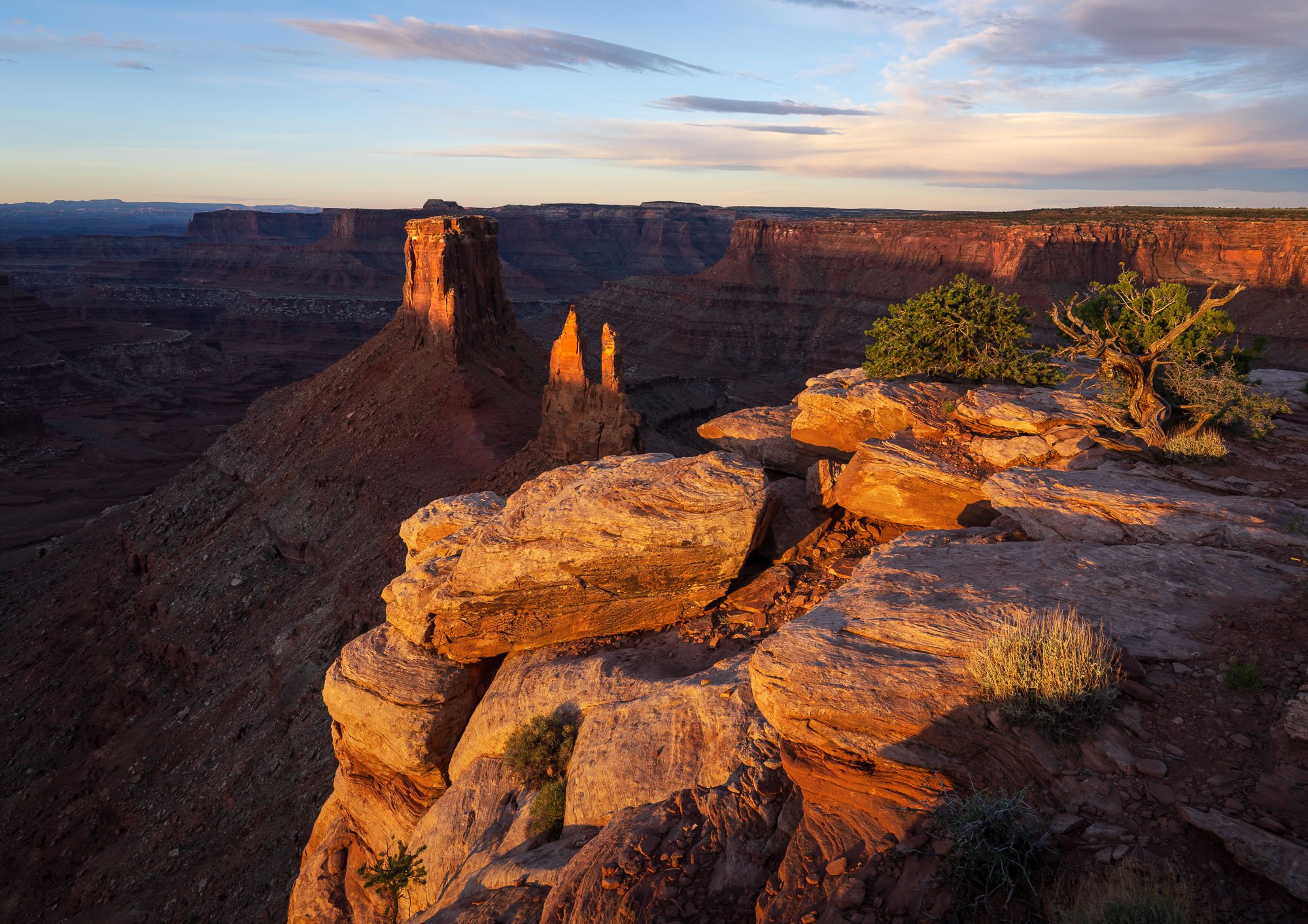 _DSC4739.jpg