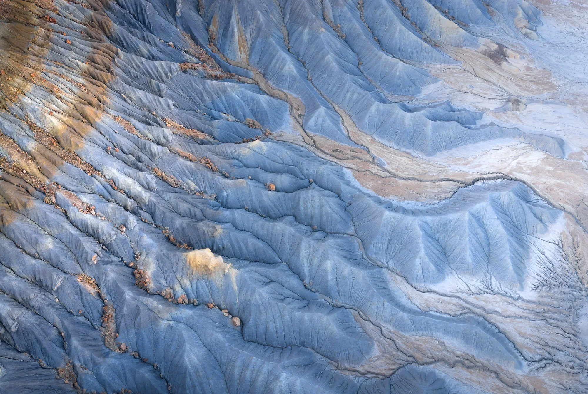 DJI_20260419084603_0634_D.jpg